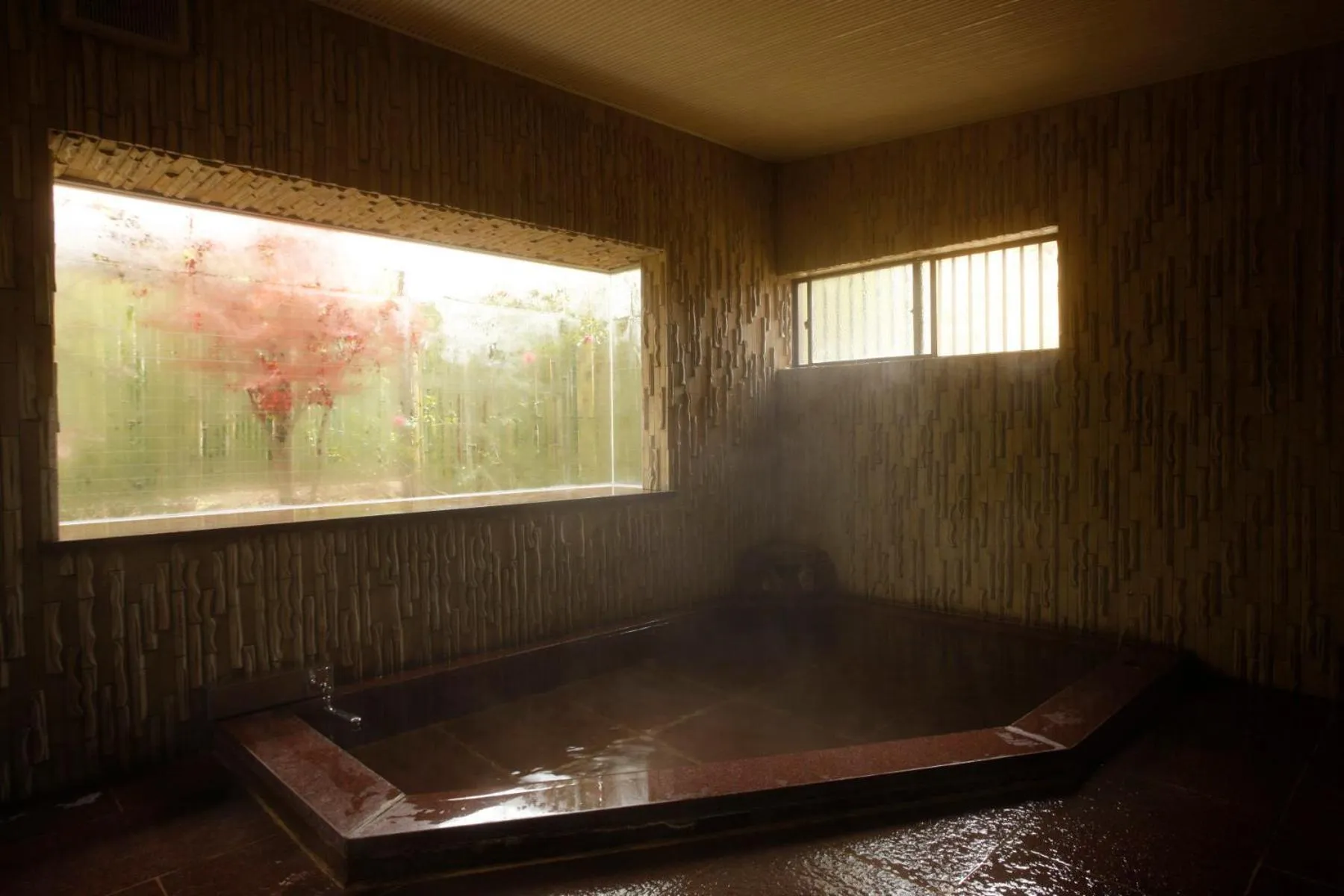 Hot Spring Bath in Hakone Fura