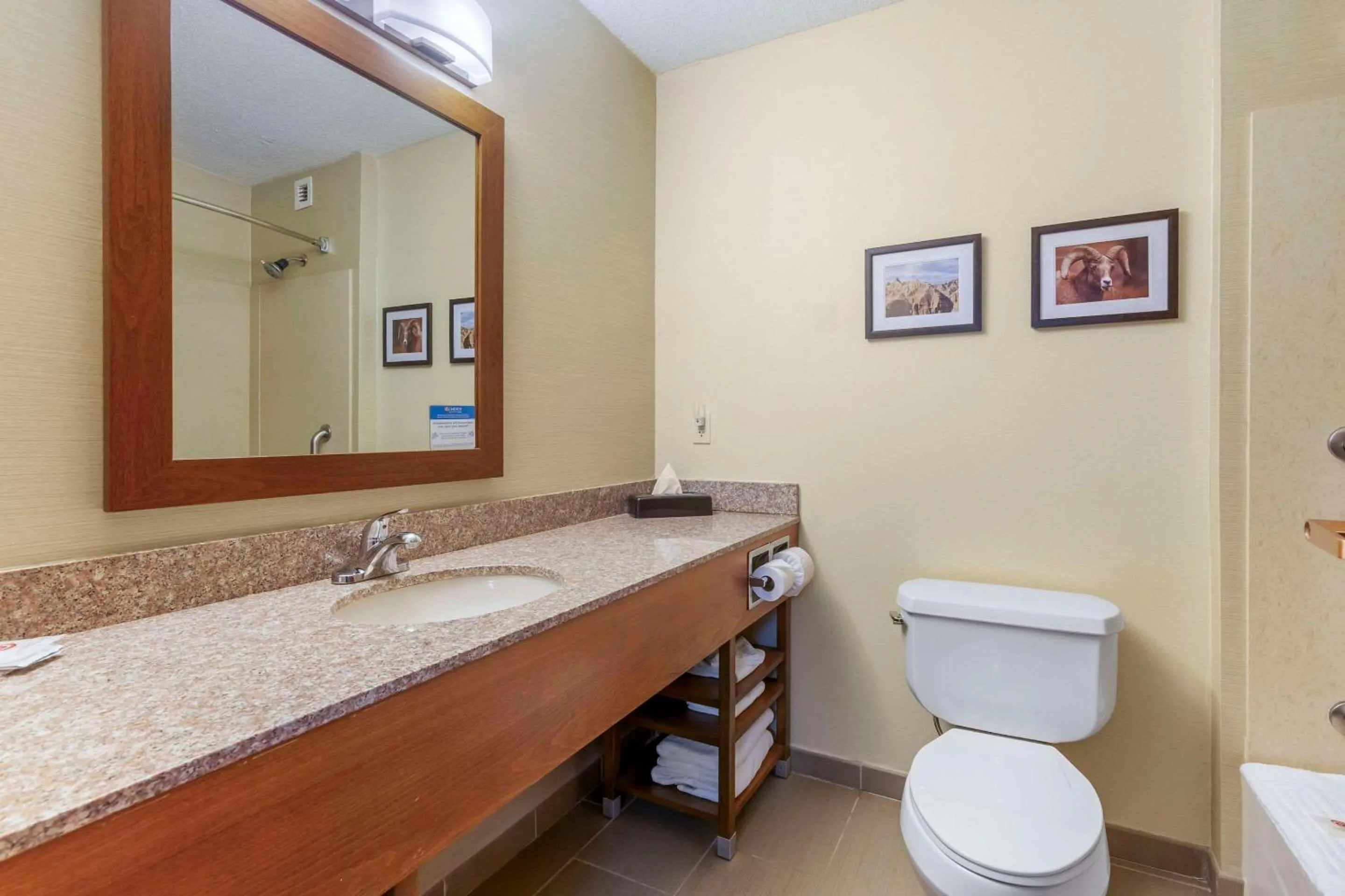 Bathroom in Comfort Inn & Suites