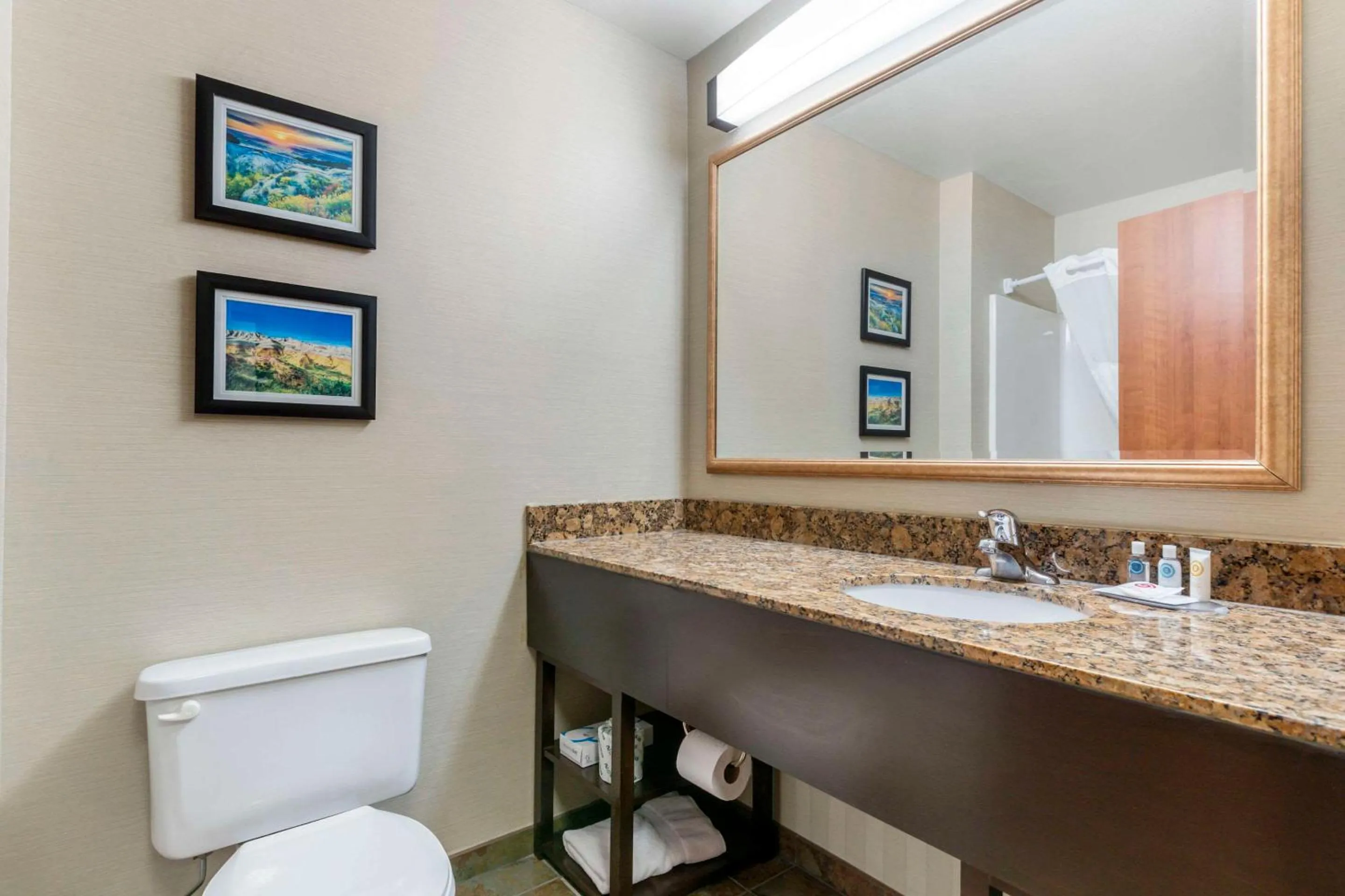 Bedroom in Comfort Inn & Suites Mitchell I-90