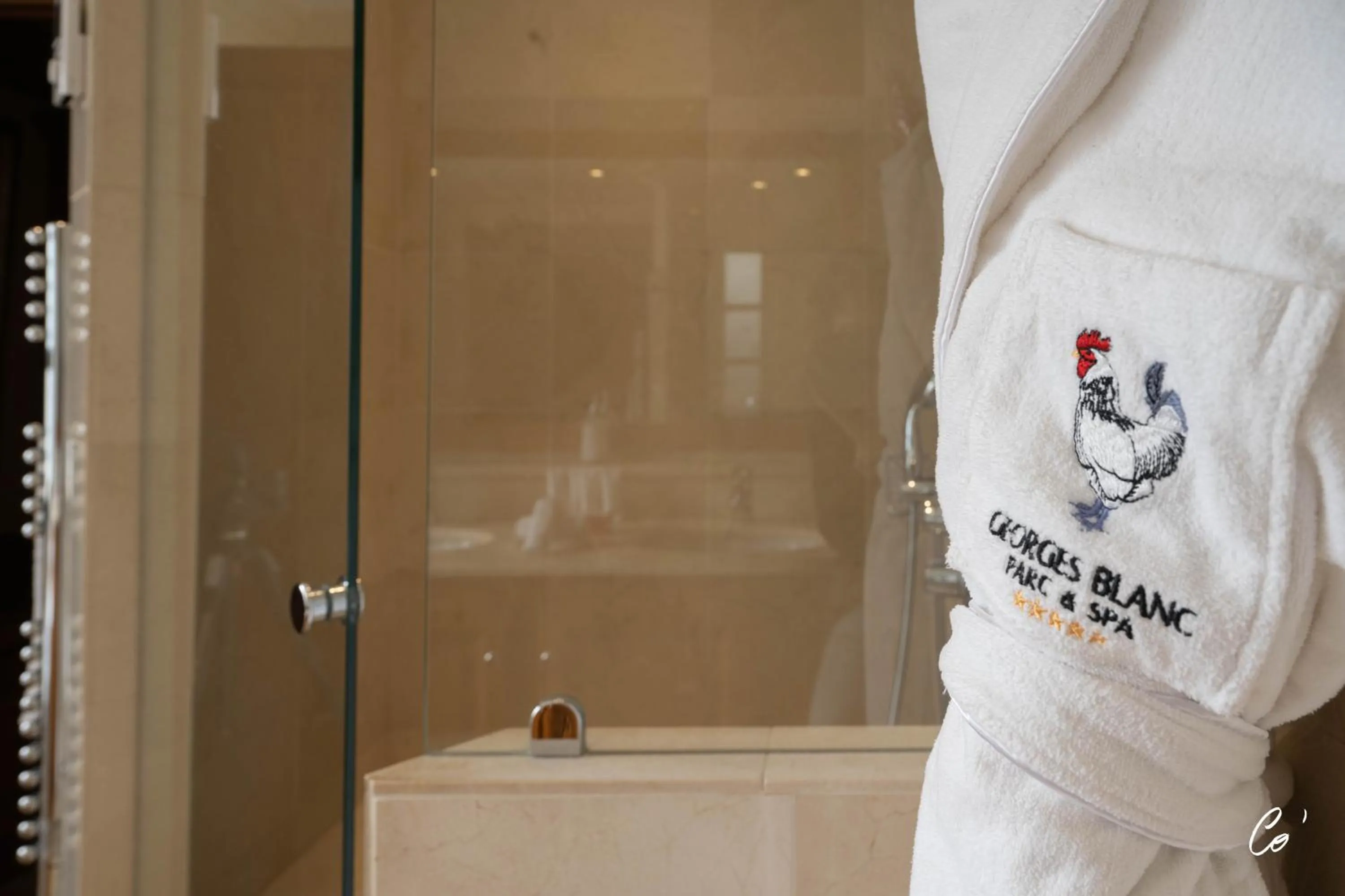 Bathroom in Georges Blanc Parc & Spa