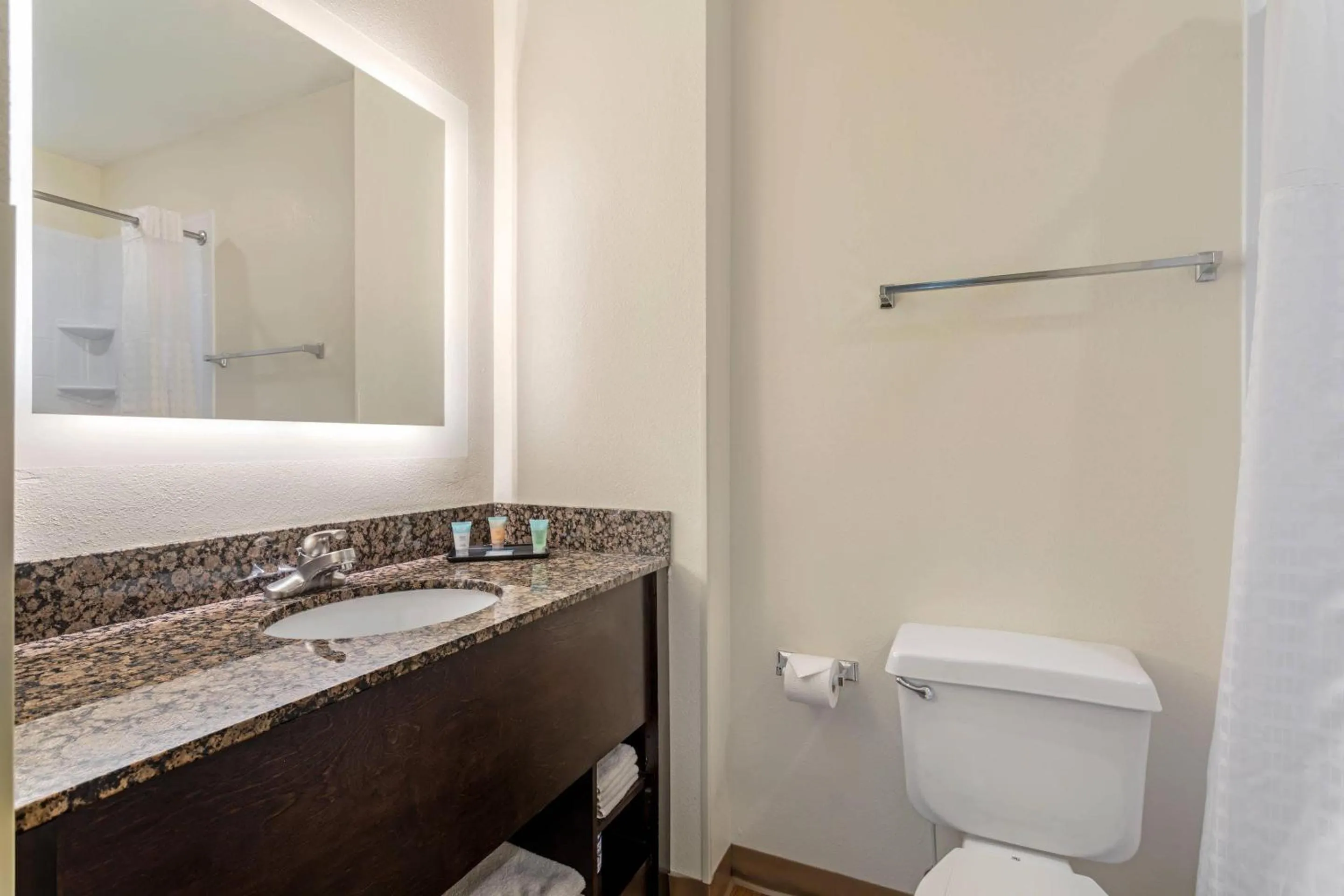 Bedroom in LeConte Hotel & Convention Center, an Ascend Collection Hotel