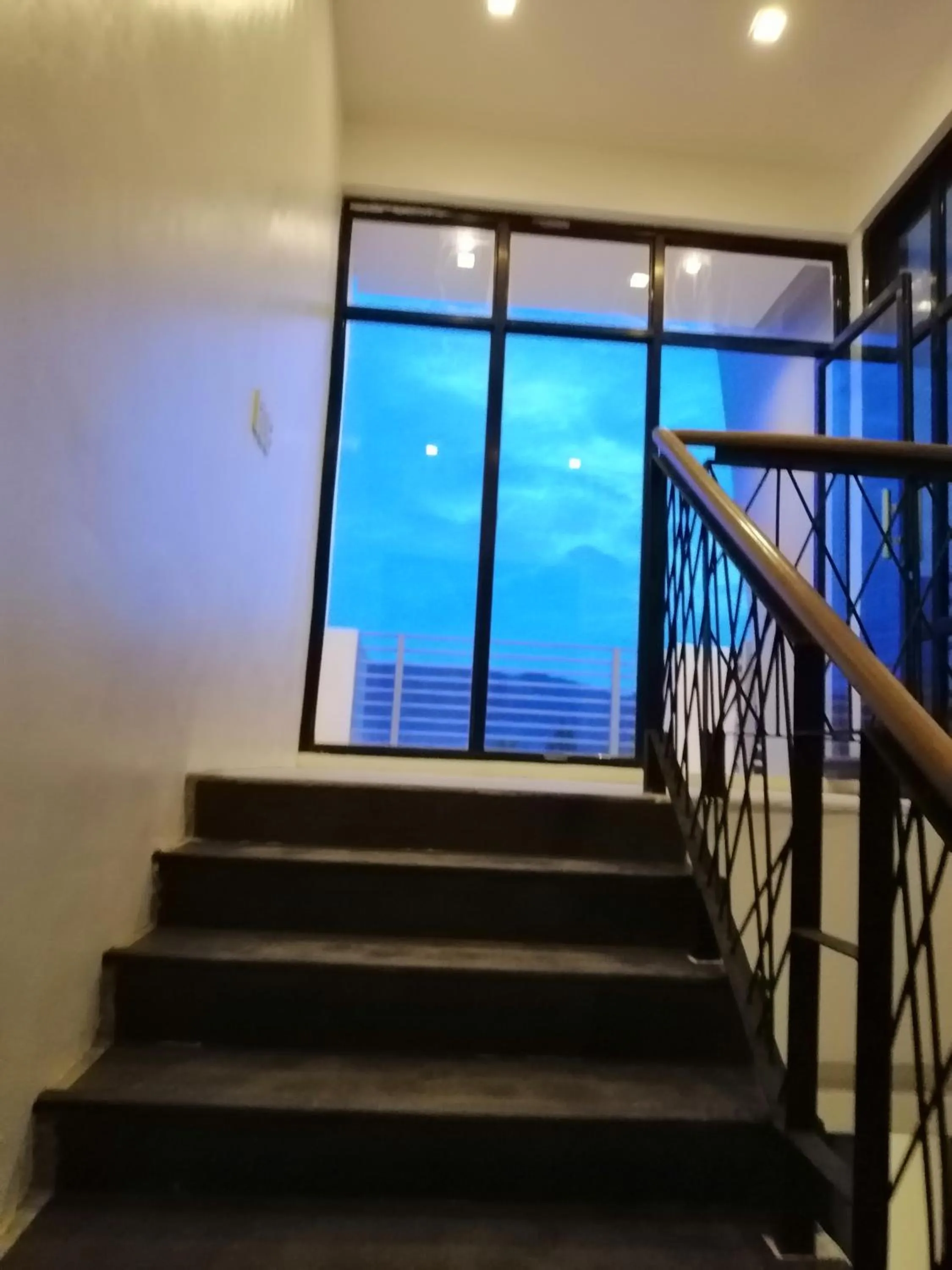 Area and facilities in Hotel Rupert A Baler