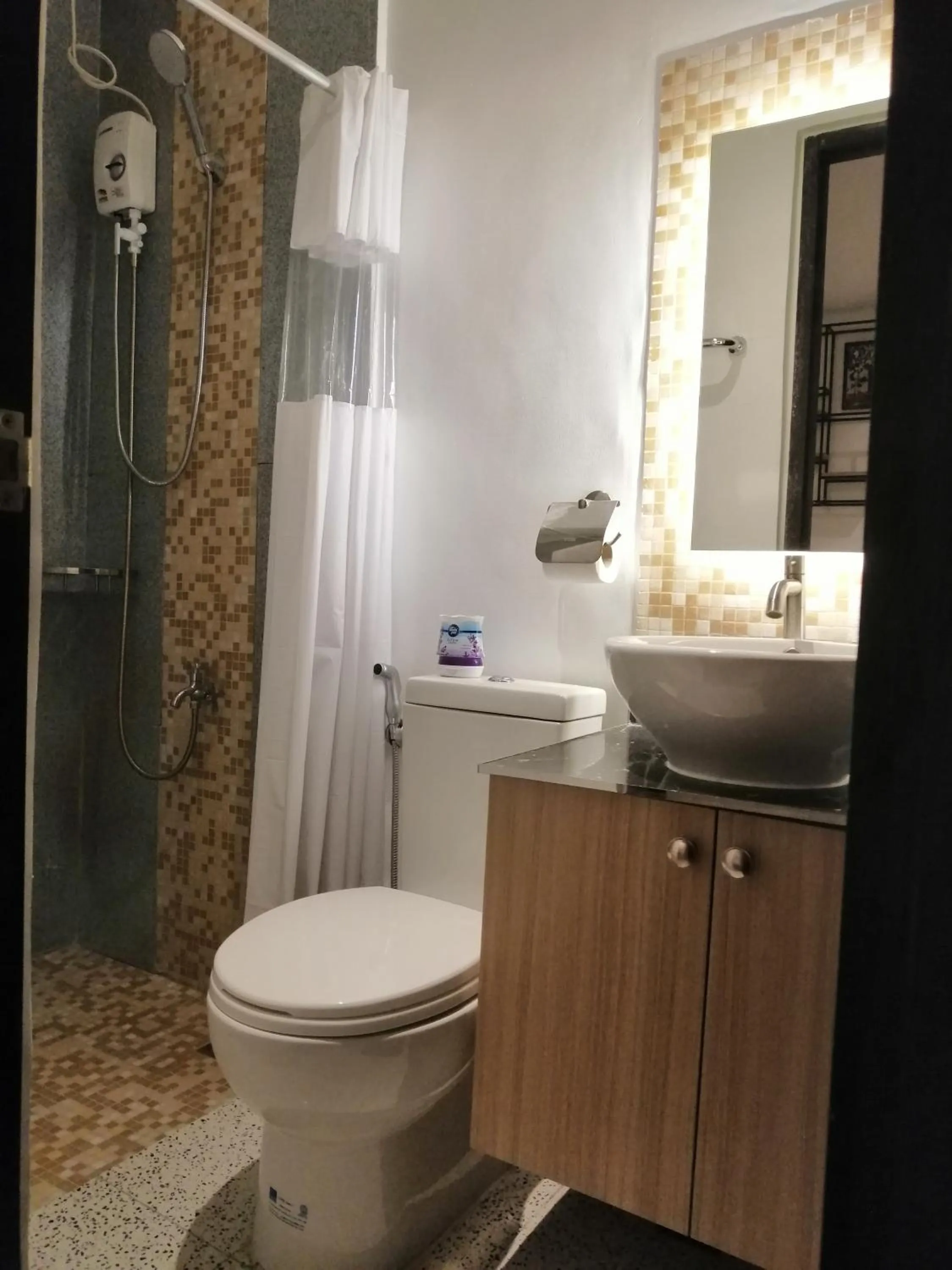 Toilet in Hotel Rupert A Baler