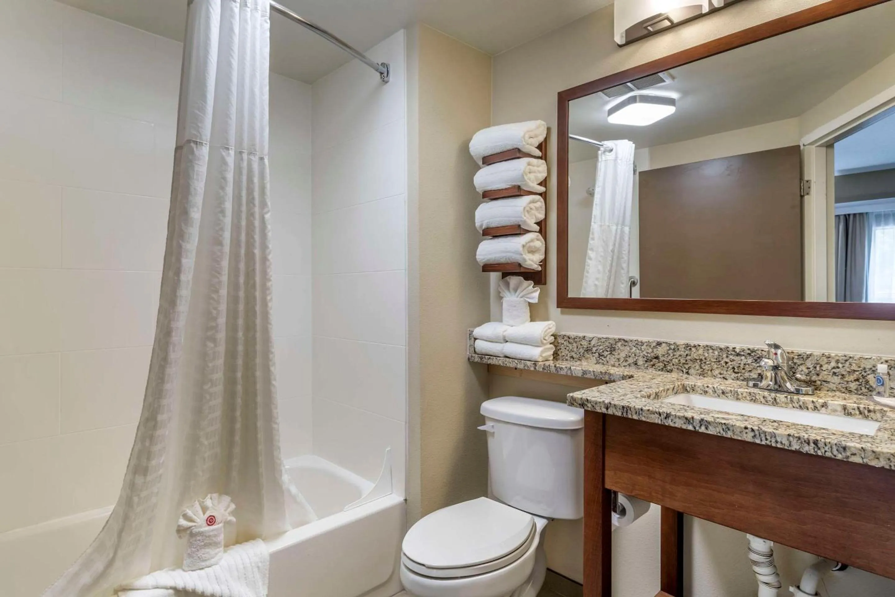 Bathroom in Comfort Inn South