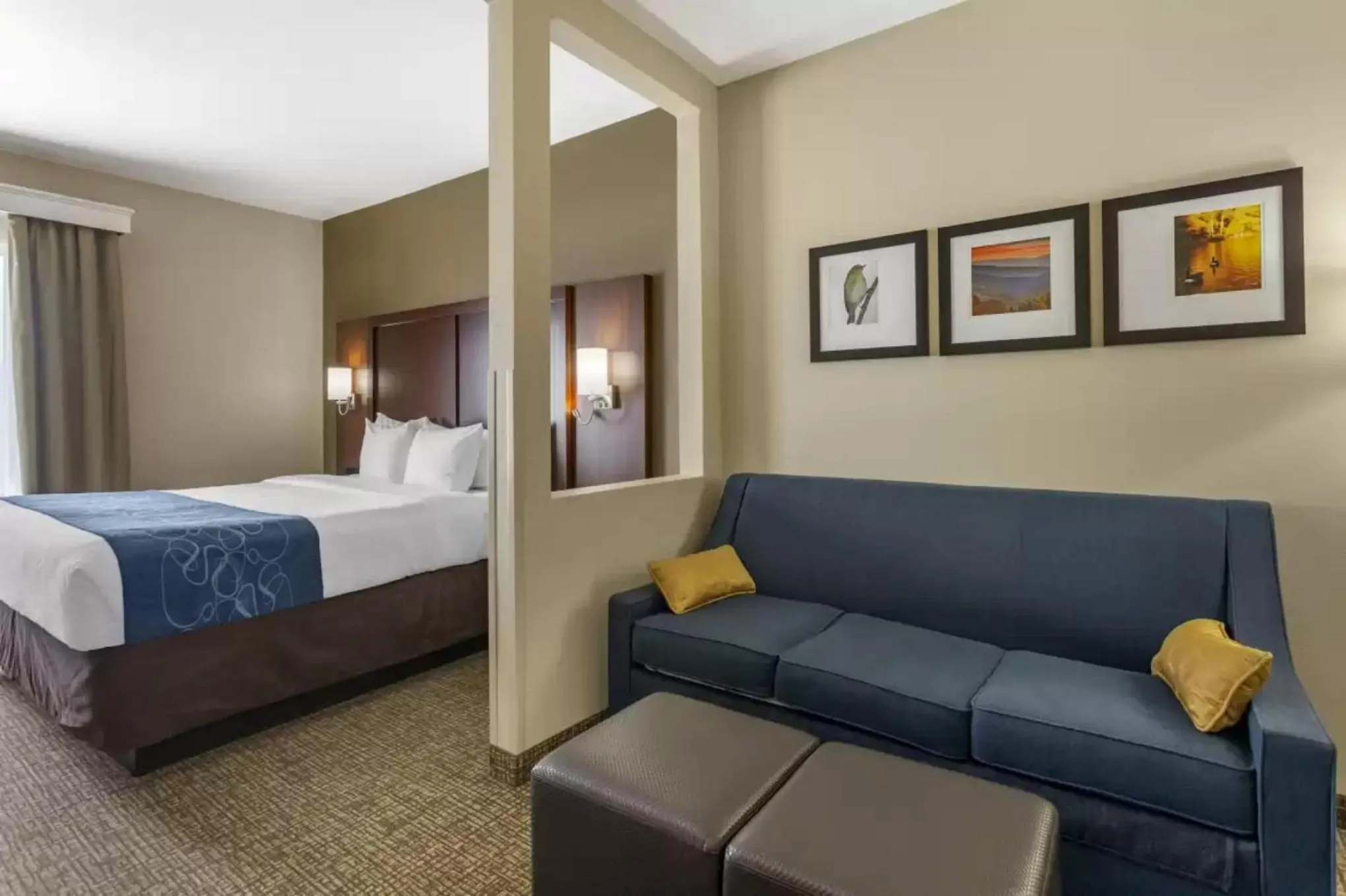Bed in Comfort Suites Goodlettsville Rivergate