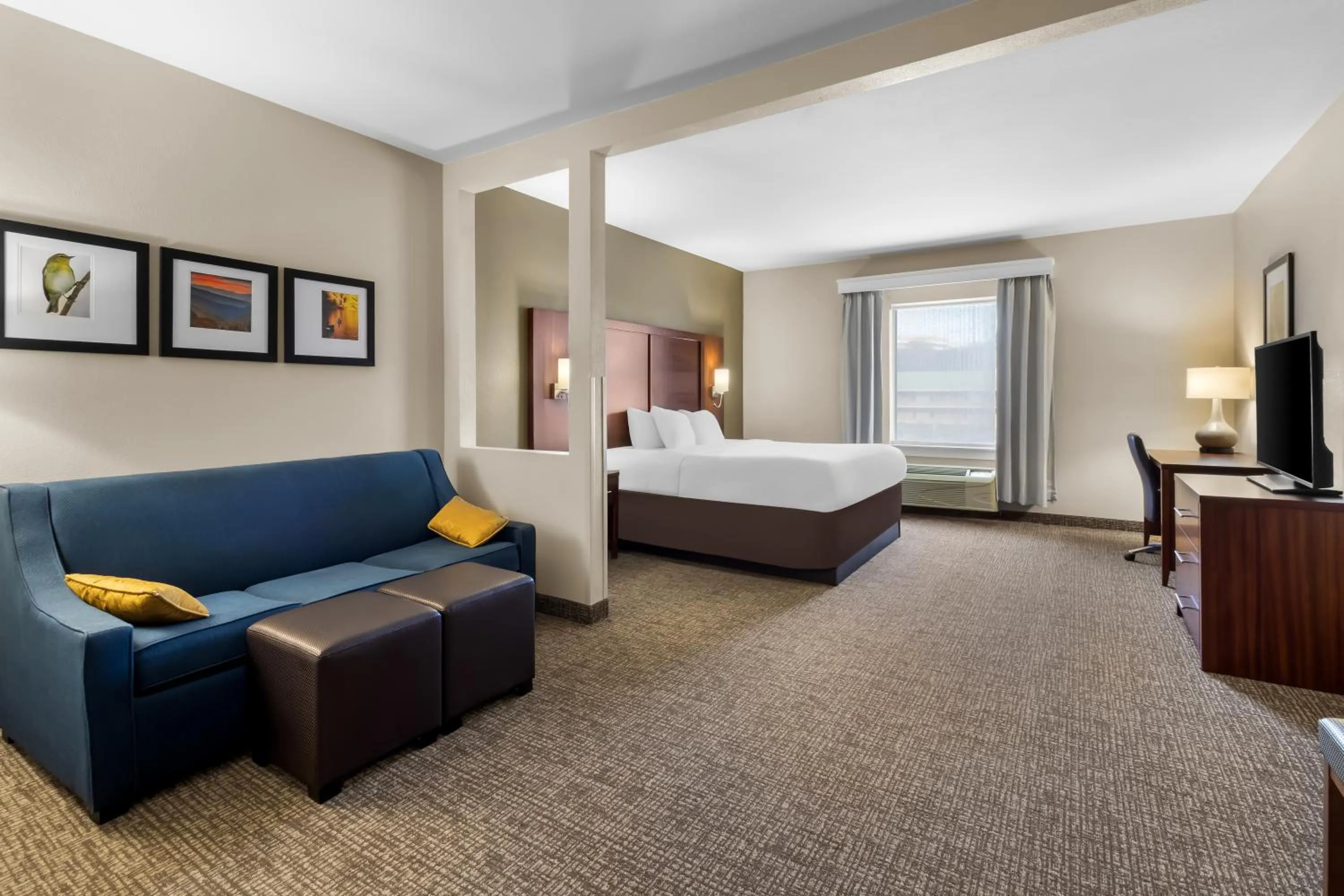 Bed in Comfort Suites Goodlettsville Rivergate