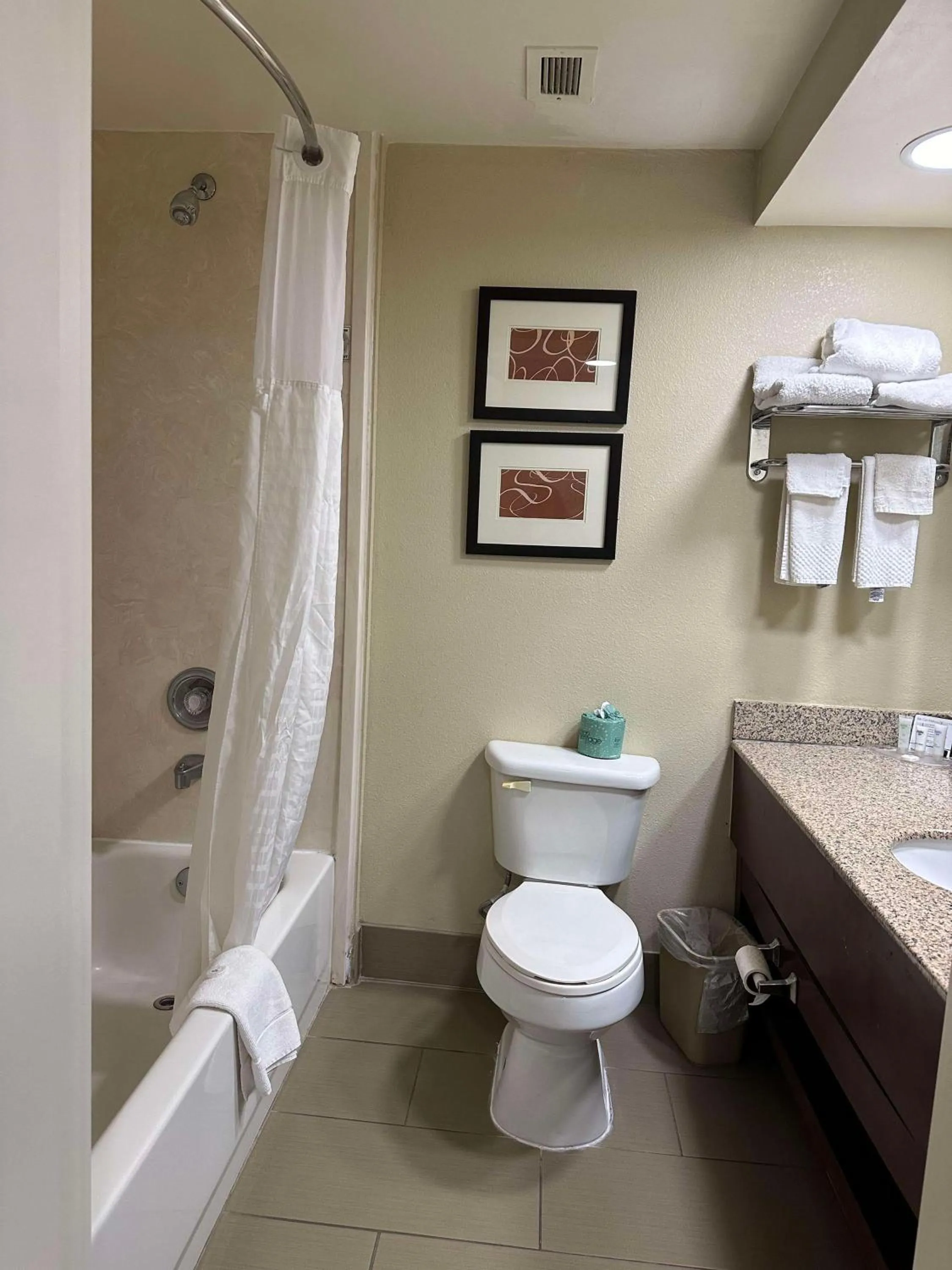 Bathroom in Vista Suites Near Island and Leconte Convention Center
