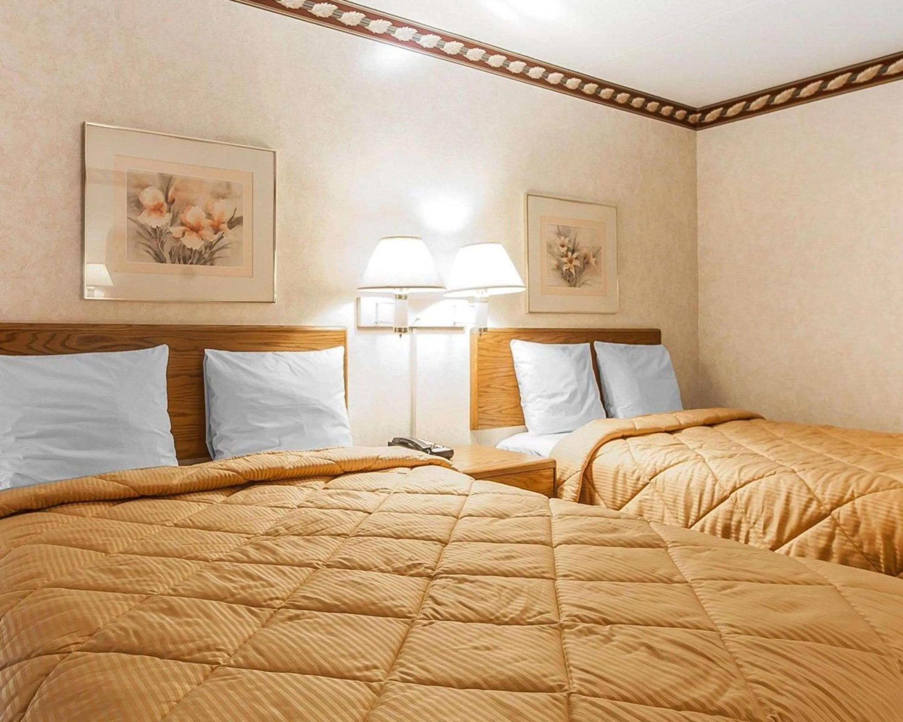 Photo of the whole room in Rodeway Inn Sweetwater South