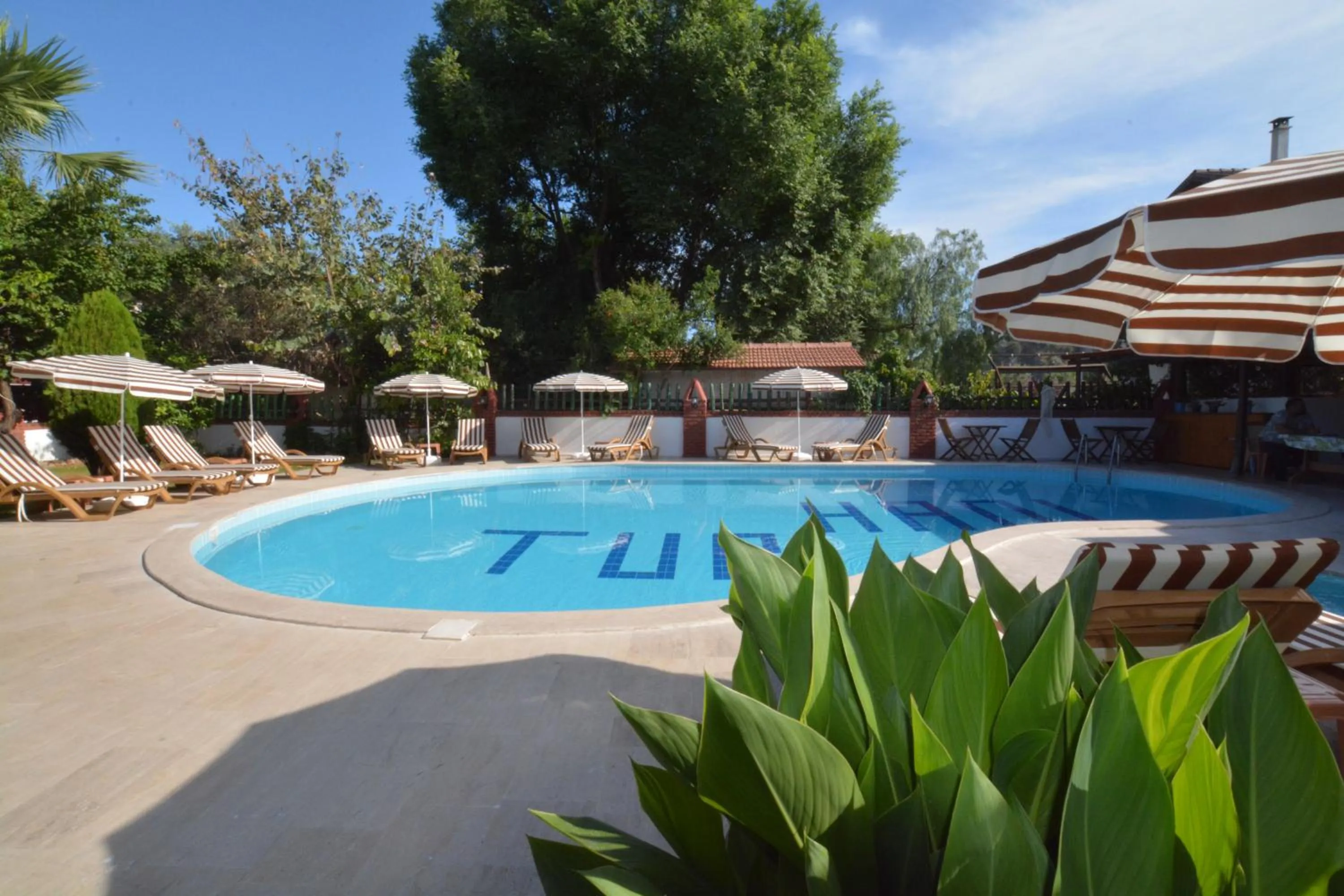 Garden, Swimming Pool in YENI DOGA HOTEL