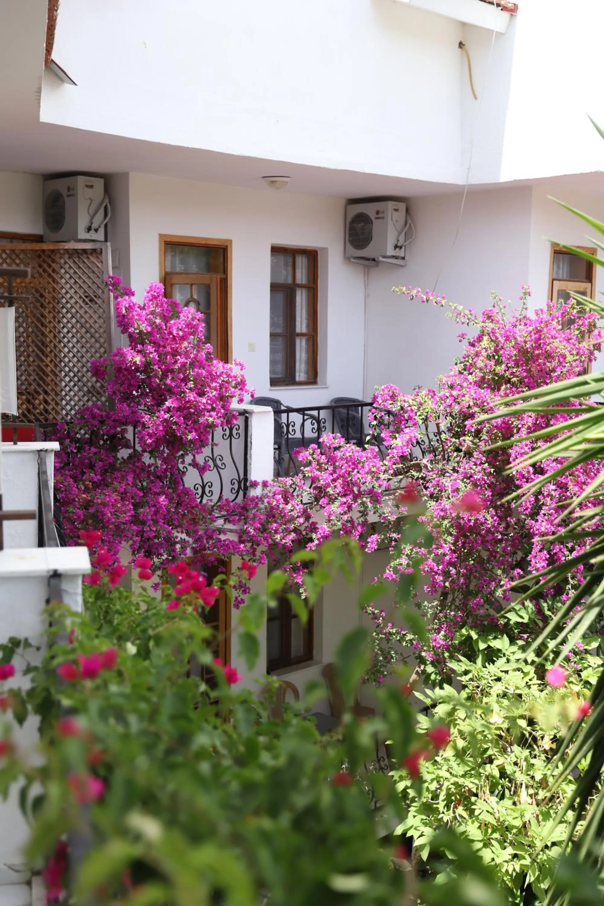 Property Building in YENI DOGA HOTEL