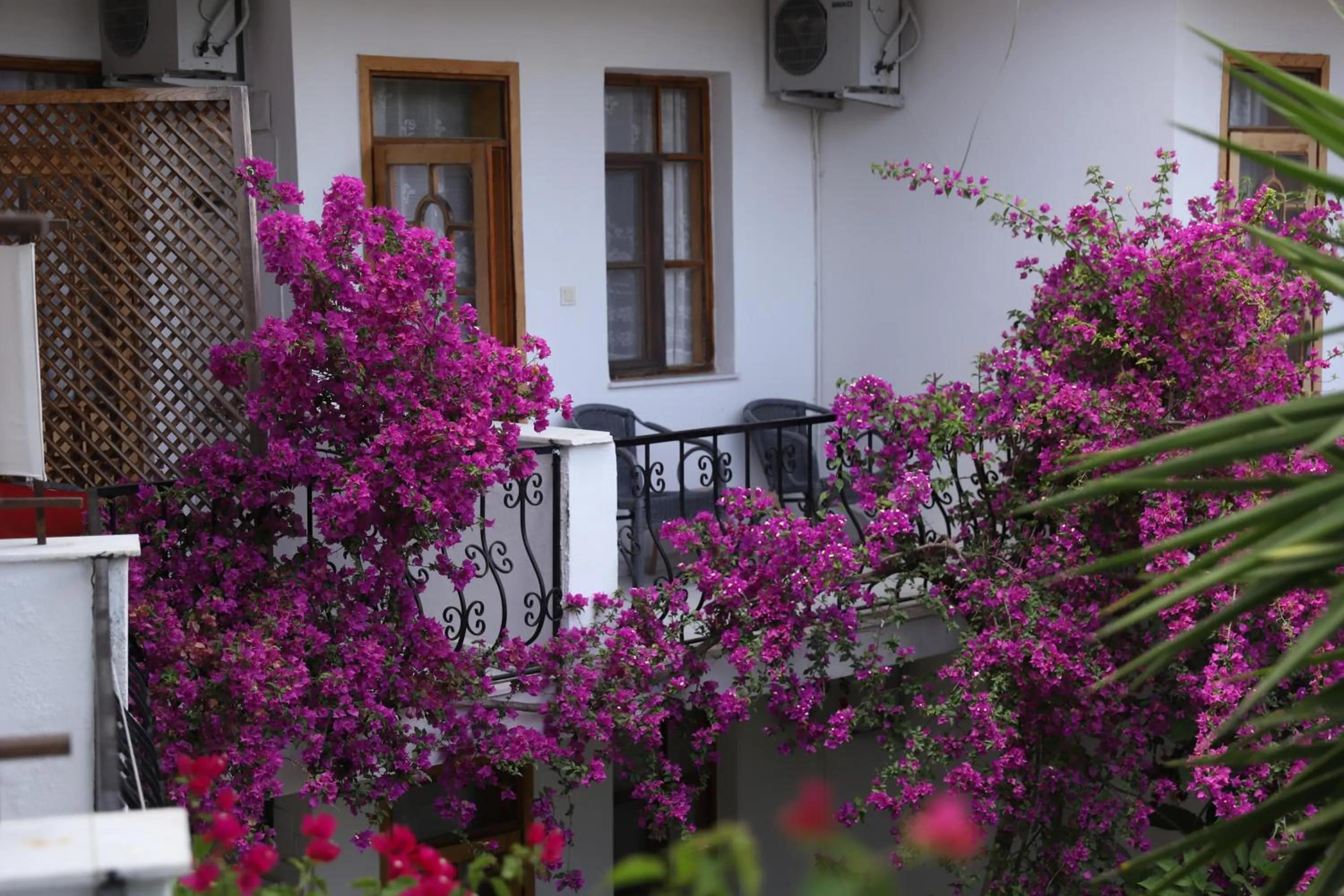 Property building in YENI DOGA HOTEL