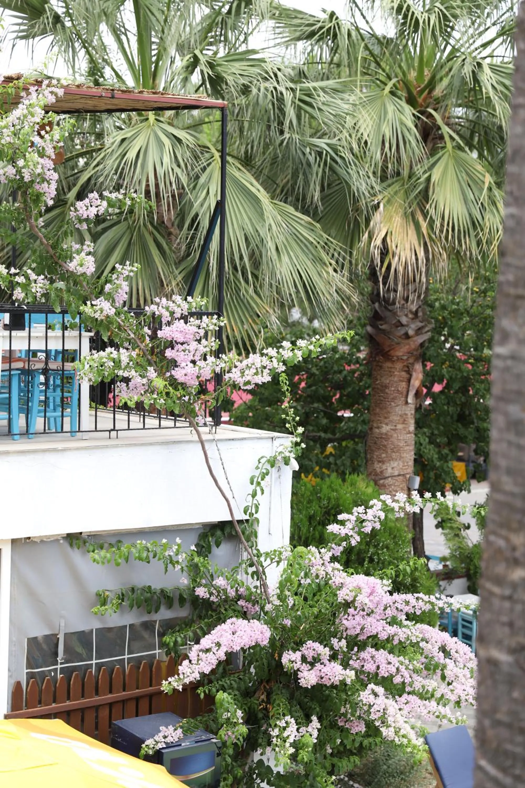 Restaurant/places to eat in YENI DOGA HOTEL