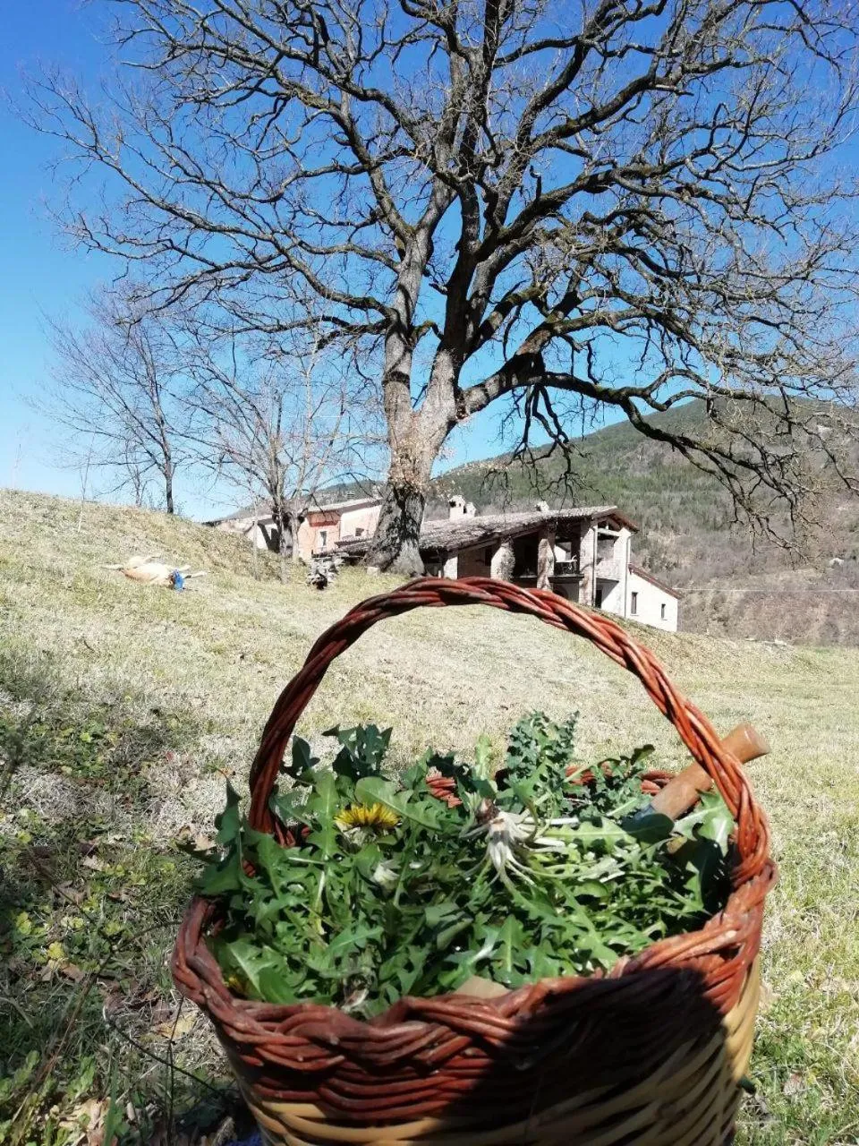 Facade/entrance in La Corte di Nonna Quercia