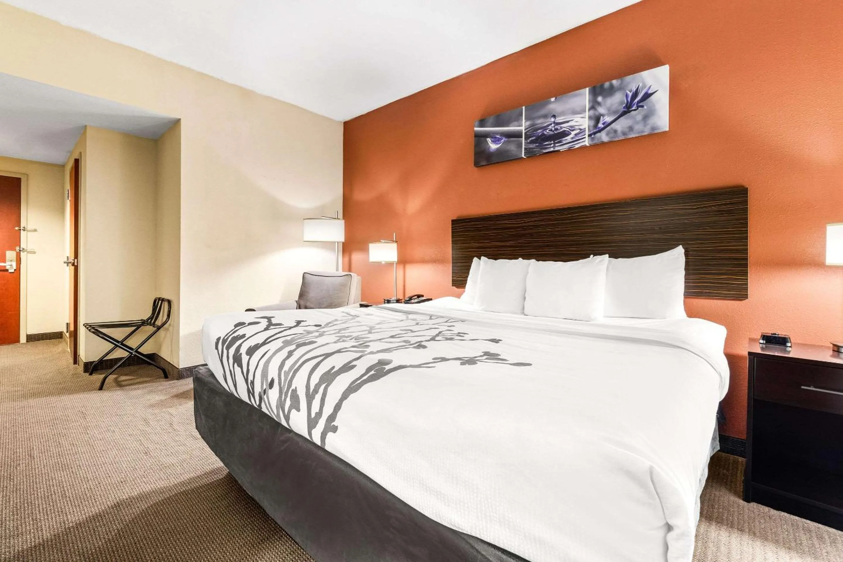 Bedroom, Bed in Sleep Inn & Suites Dyersburg I-155
