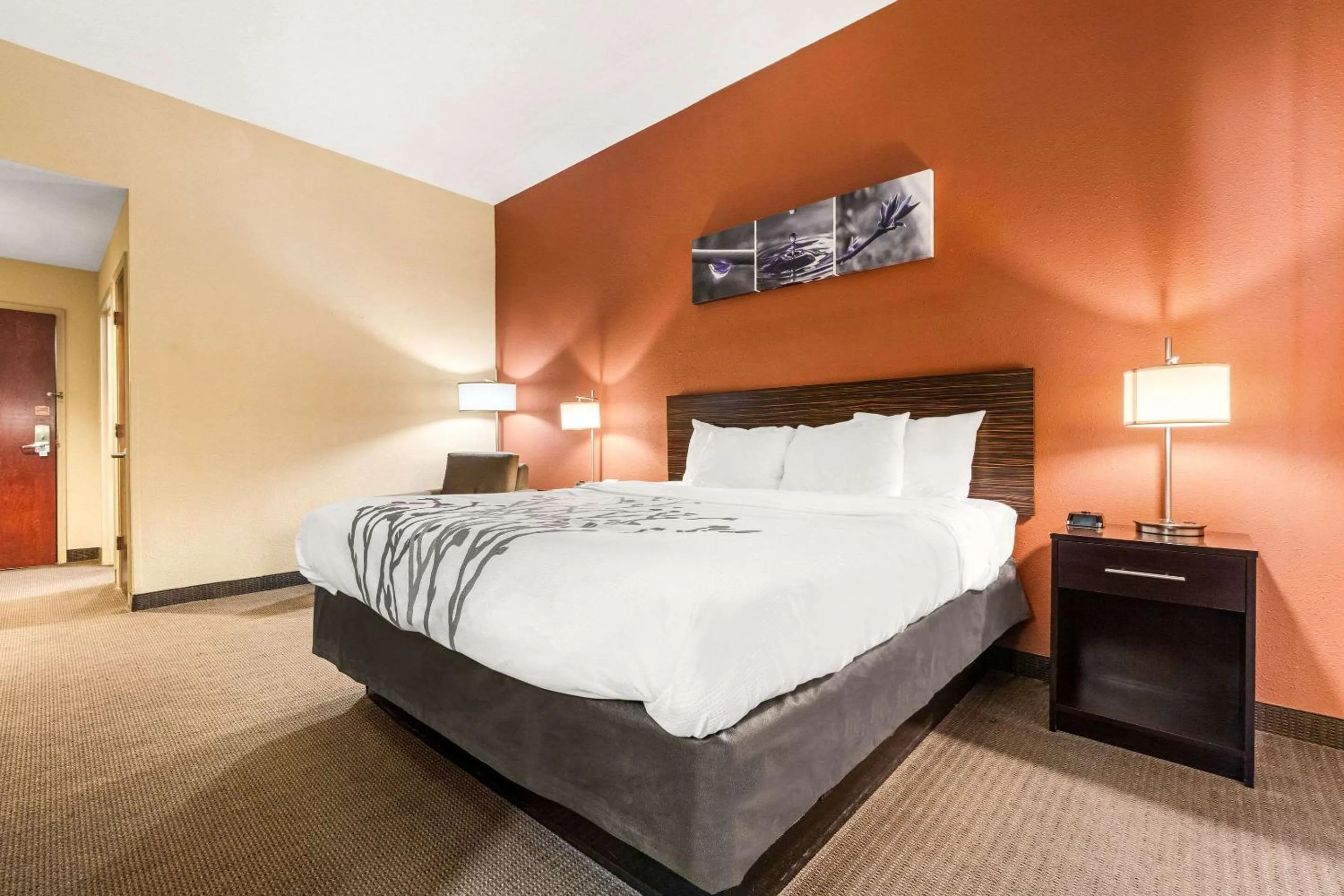Bedroom, Bed in Sleep Inn & Suites Dyersburg I-155