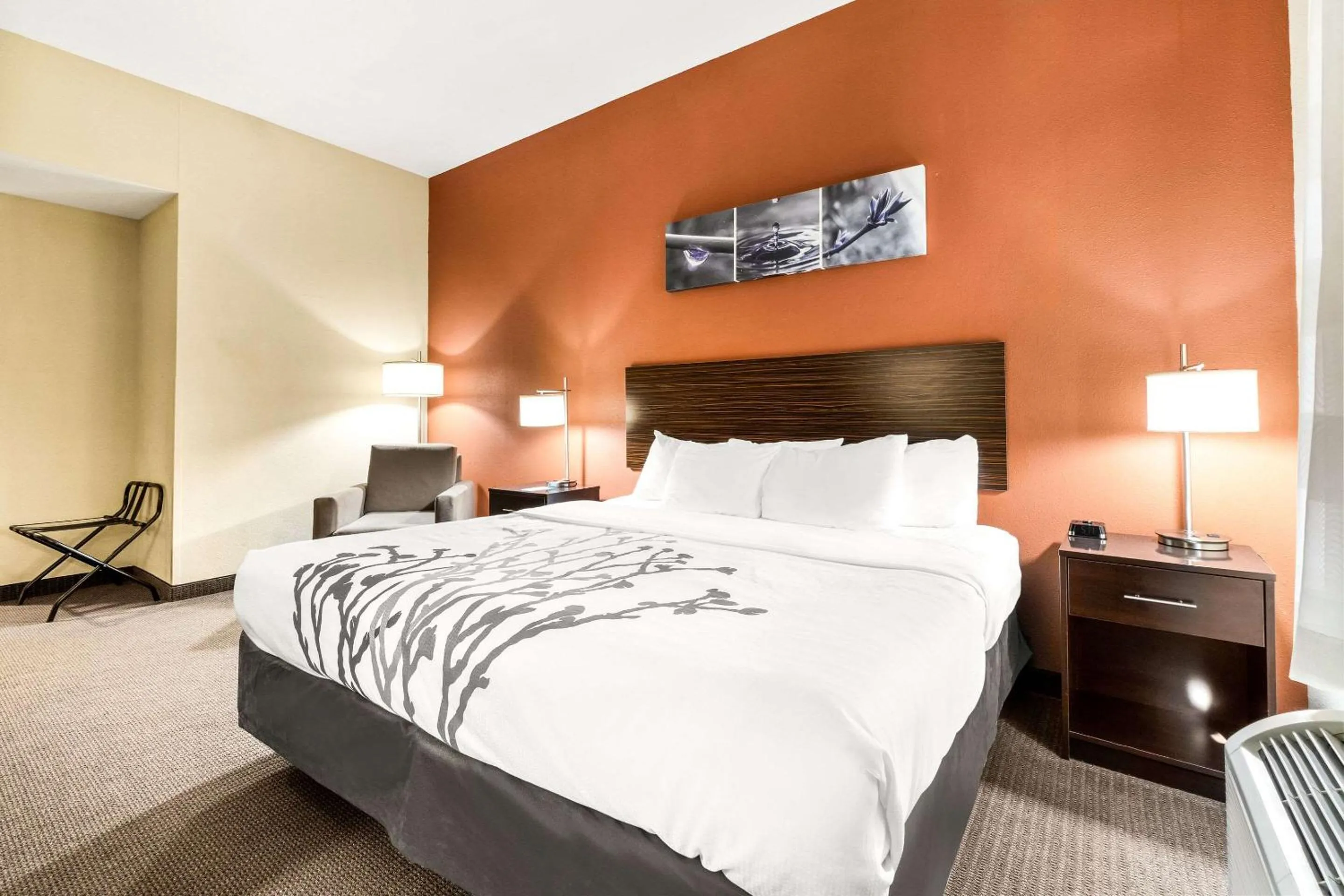 Bedroom, Bed in Sleep Inn & Suites Dyersburg I-155