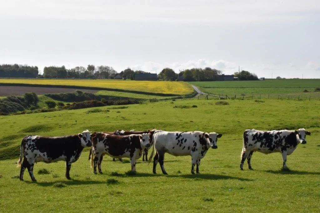 Other in Le fief Beaurepaire 76280