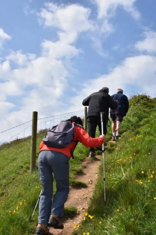 Activities in Le fief Beaurepaire 76280