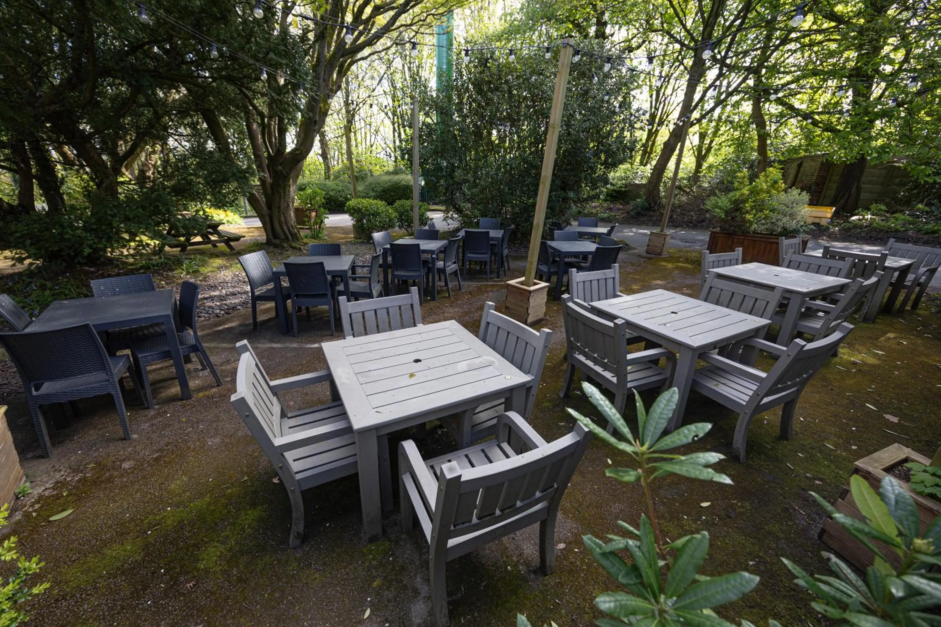 The Mount by Greene King Inns