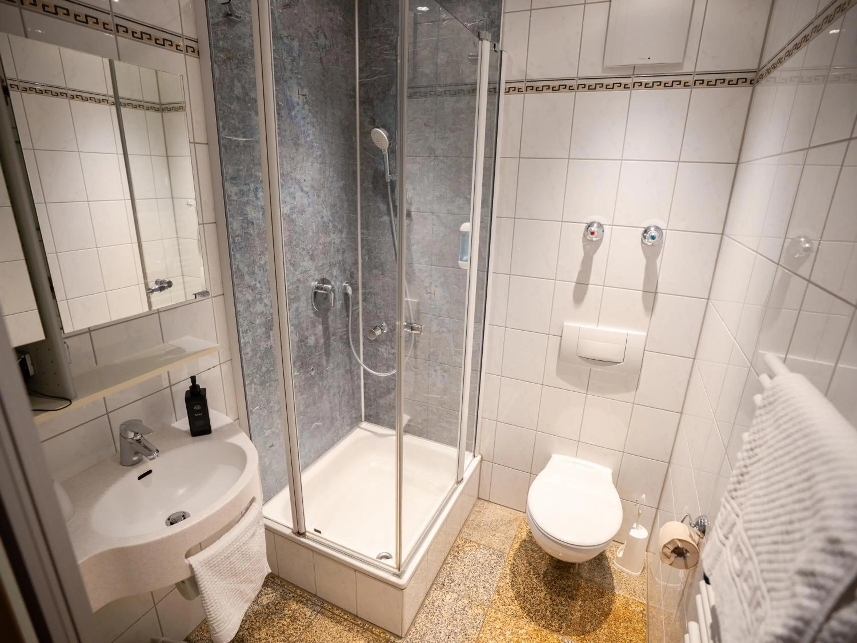 Bathroom in historic Apart