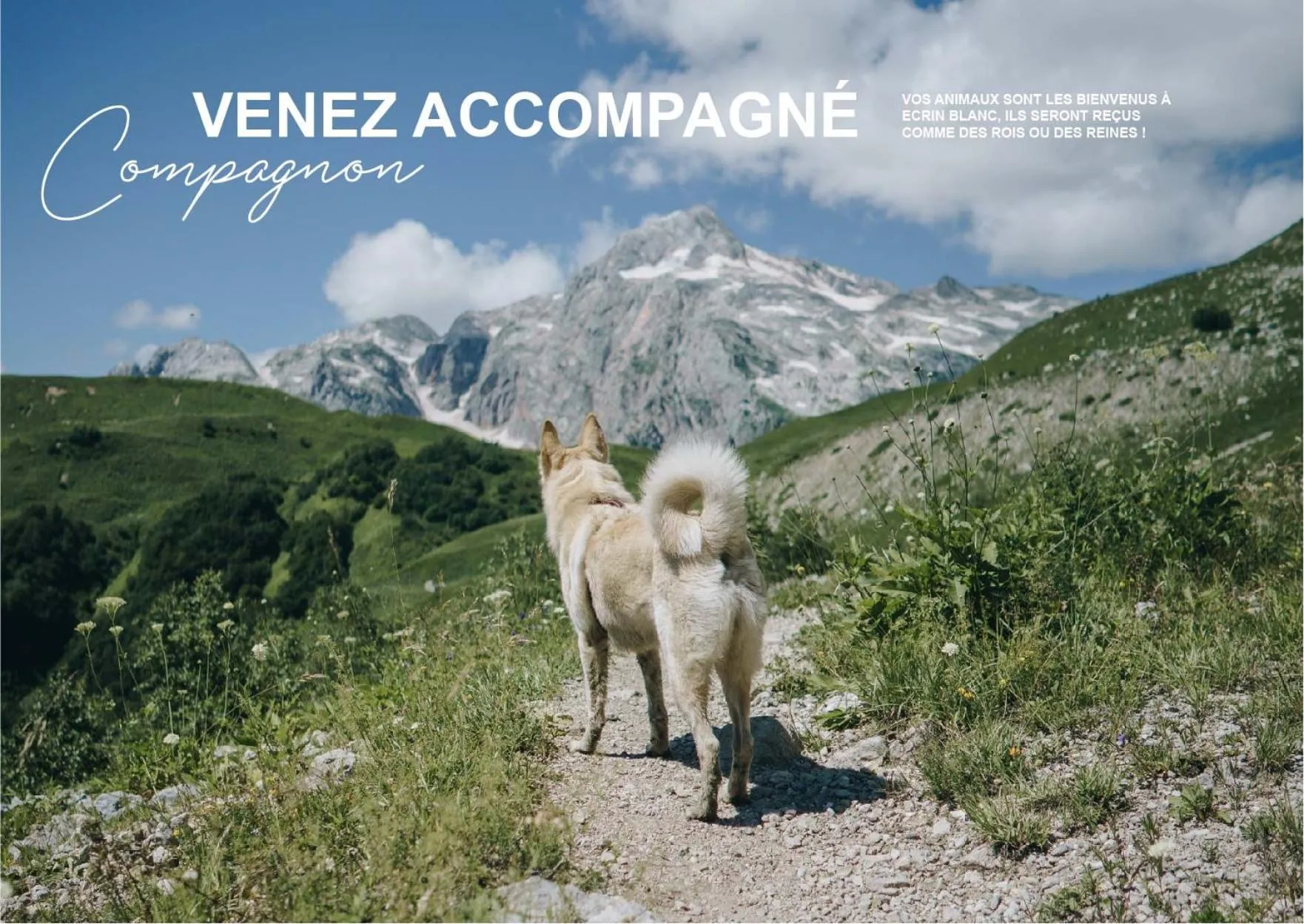 Summer in Ecrin Blanc Resort Courchevel - Aquapark