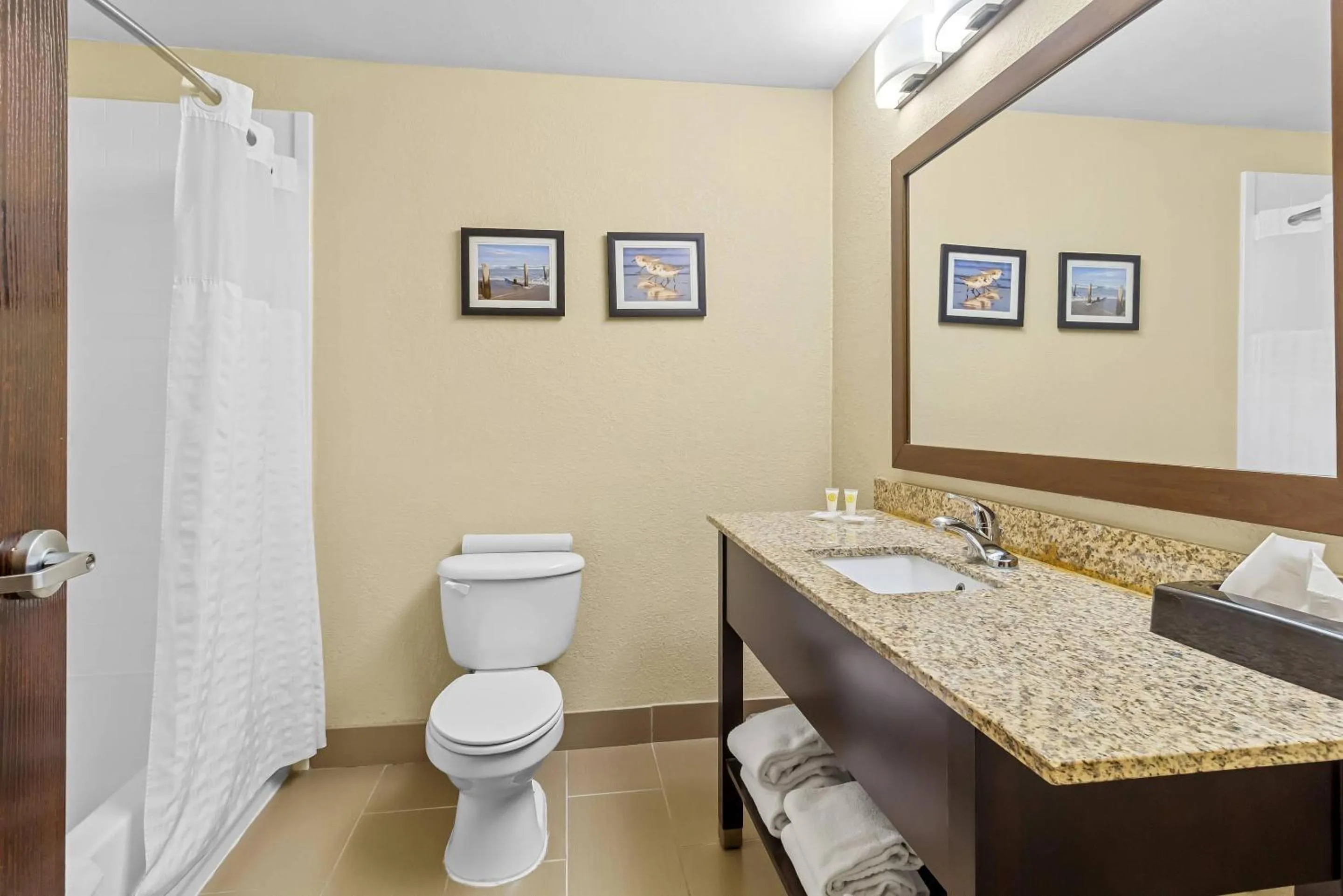 Bedroom in Comfort Suites Lake Jackson Clute