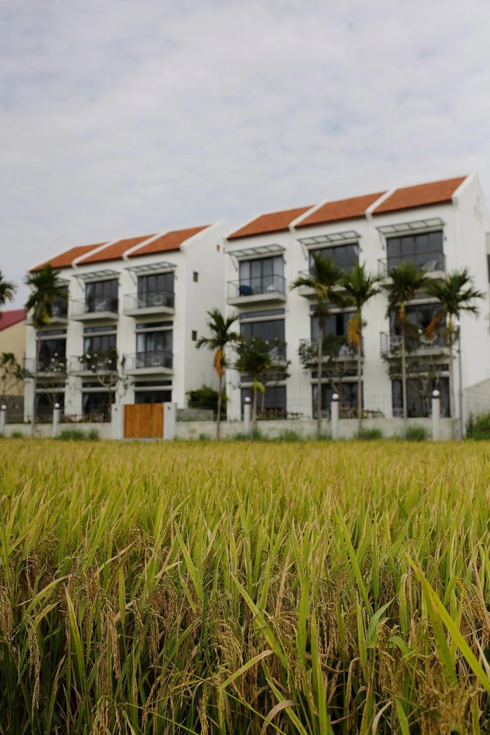 Hoian Tranquil Lodge - Chon Binh Yen