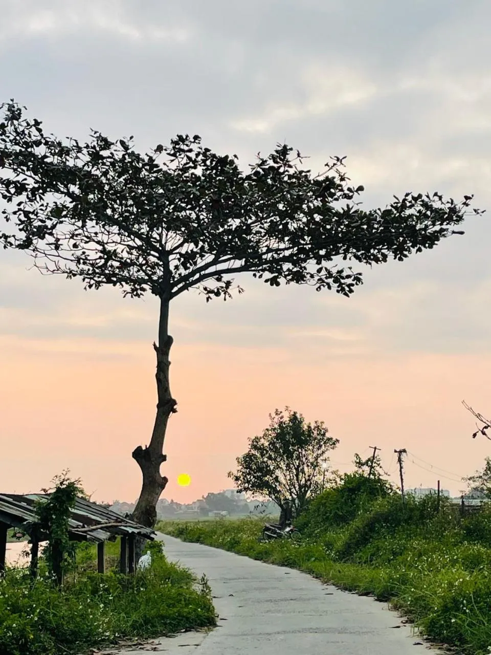 Hoian Tranquil Lodge - Chon Binh Yen