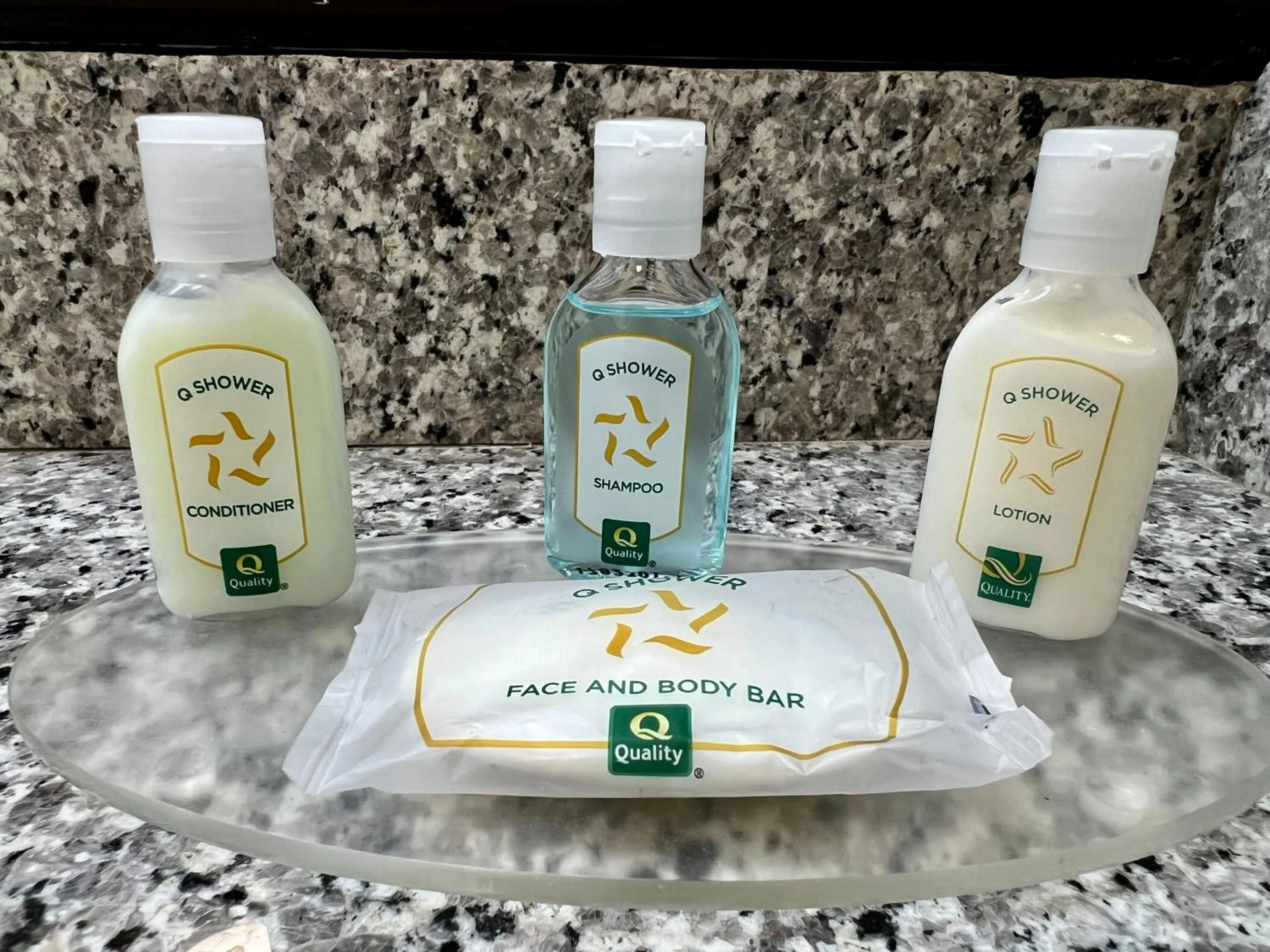 Quality Inn & Suites Near University