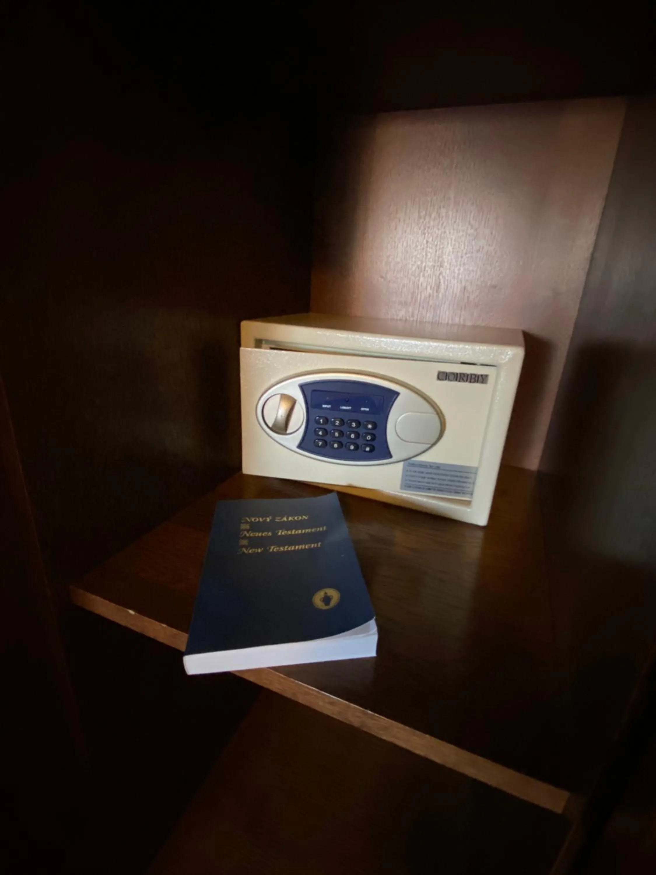 safe in Zámecký Hotel Zlatý Orel