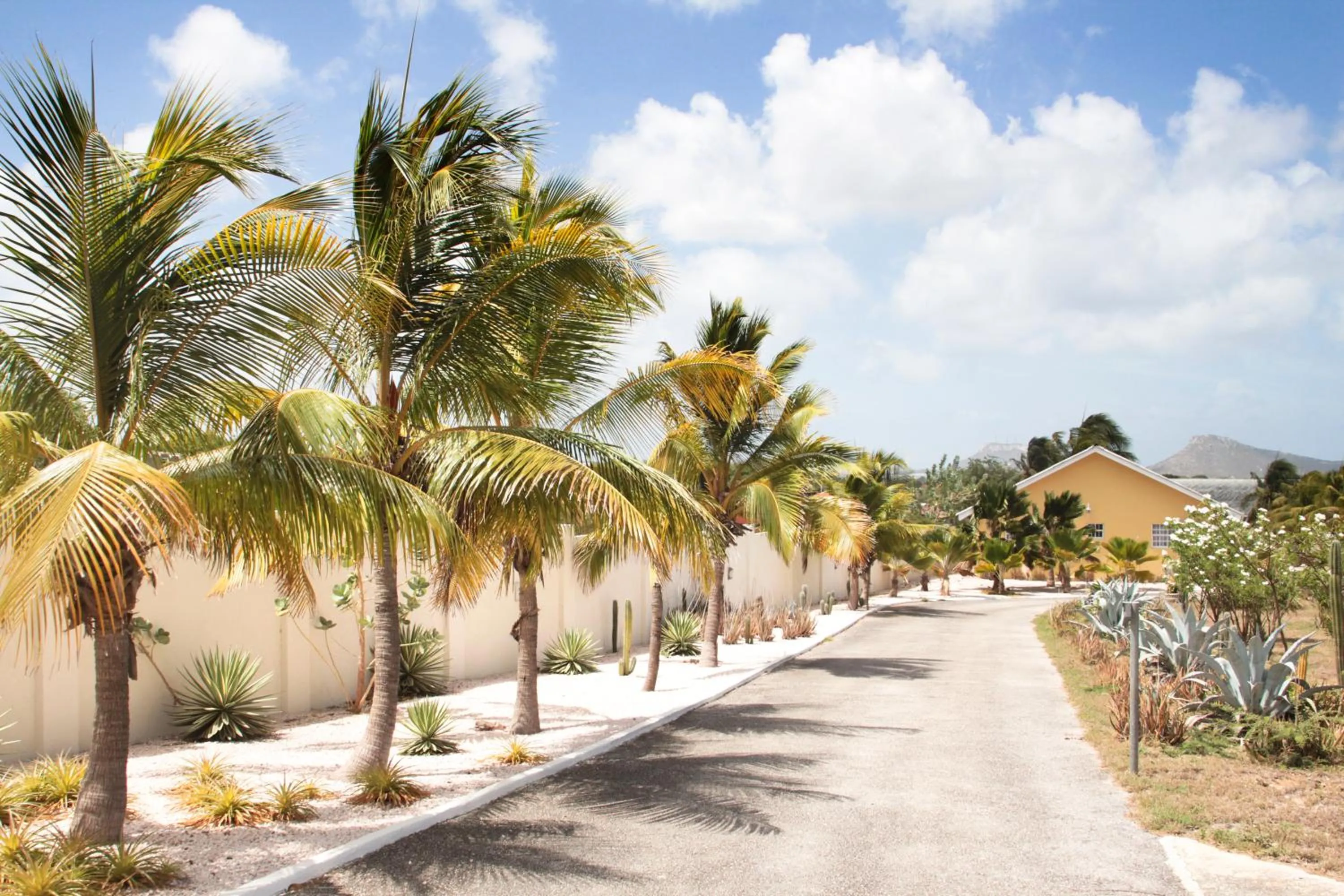 Garden in ABC Lodges Curacao