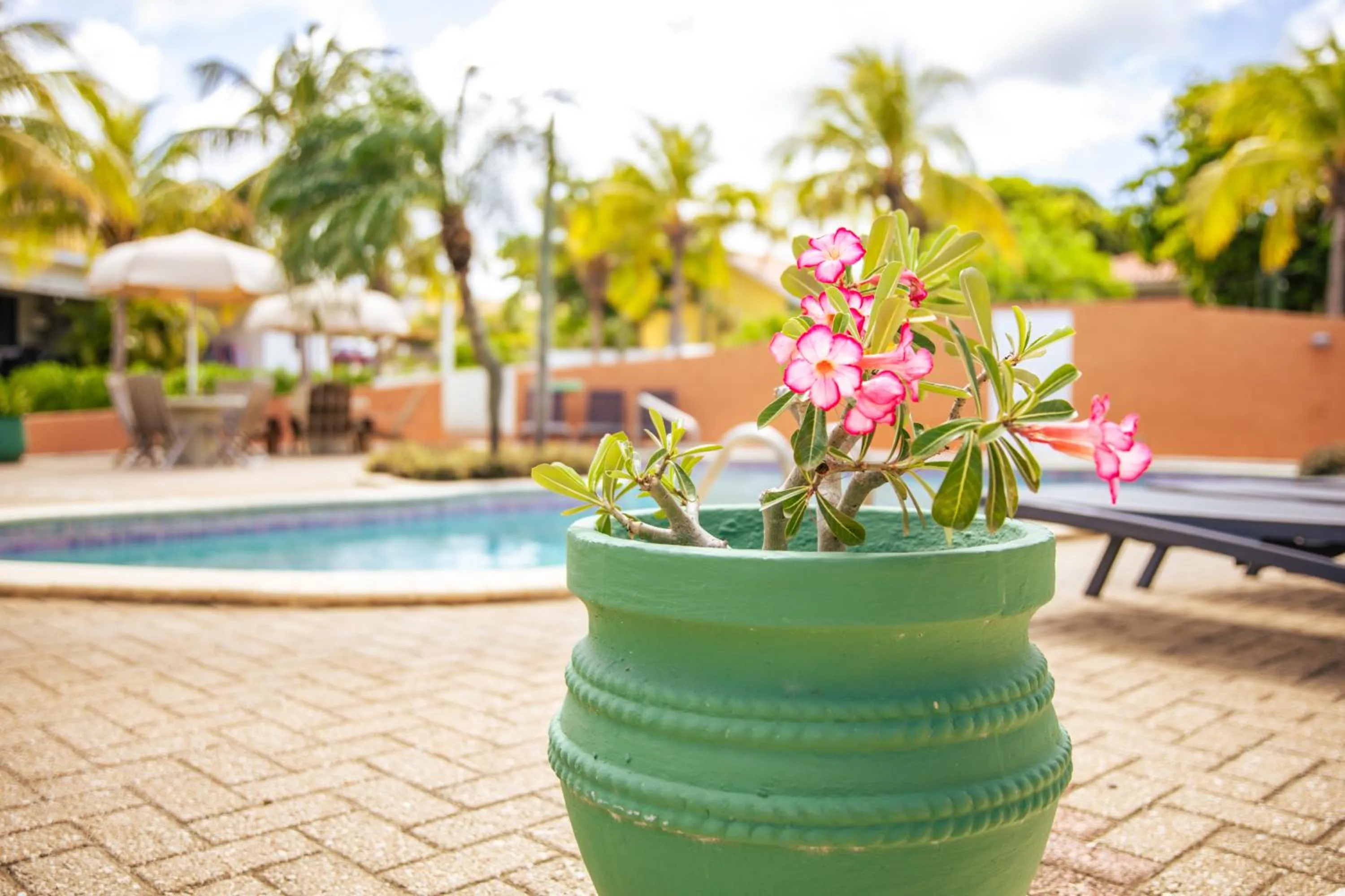 Swimming pool in ABC Lodges Curacao
