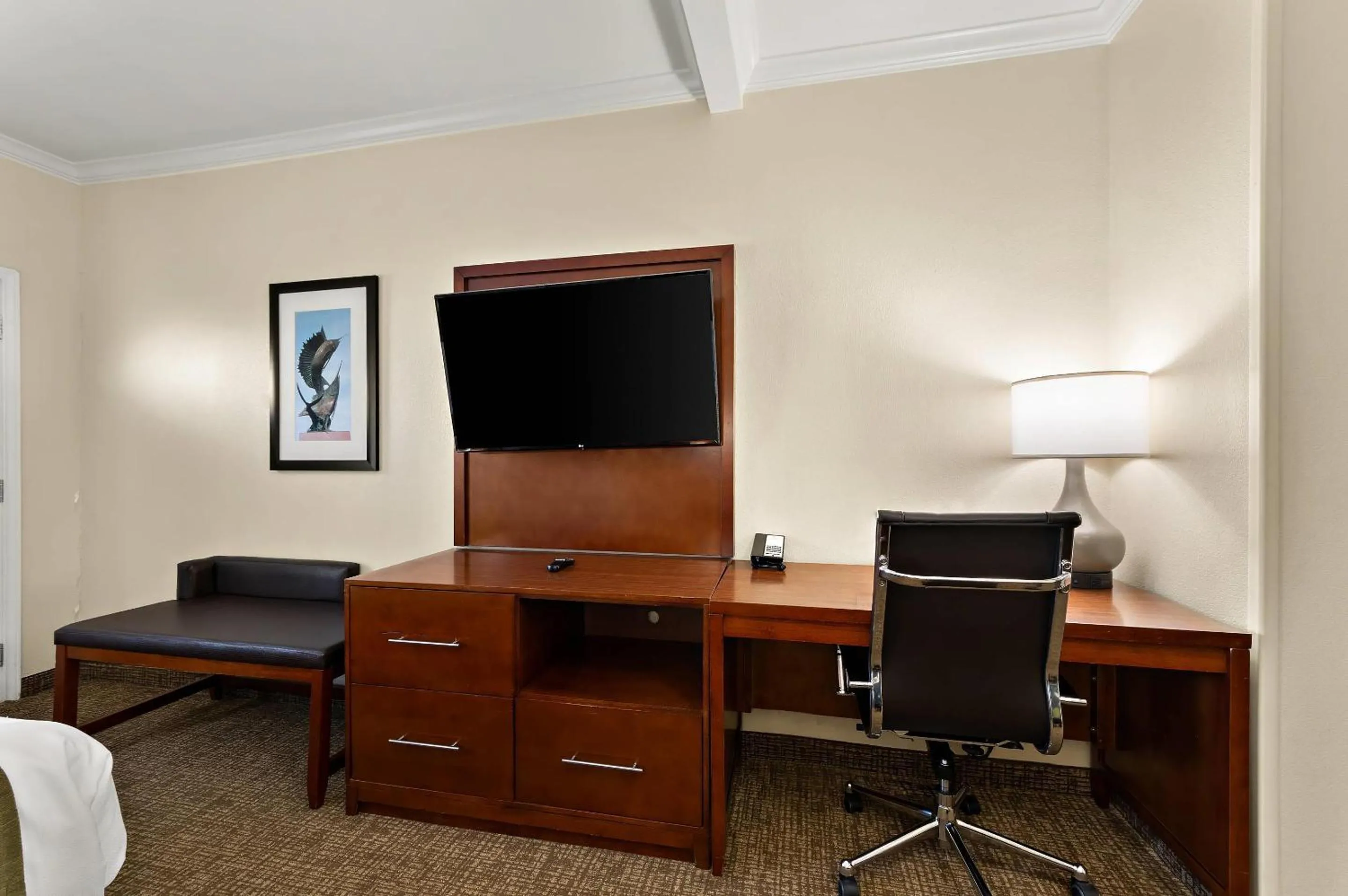 Bedroom in Comfort Suites Corpus Christi Central