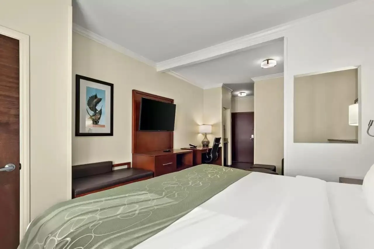 Bed in Comfort Suites Corpus Christi Central