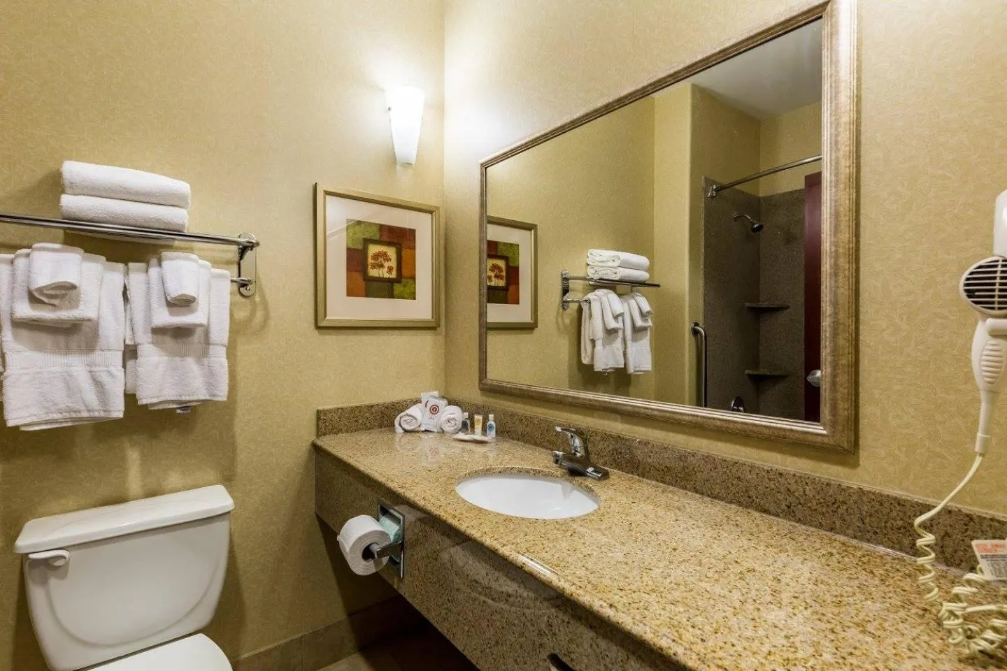 Bathroom in Comfort Suites Galveston Cruise Port Area - Beachside