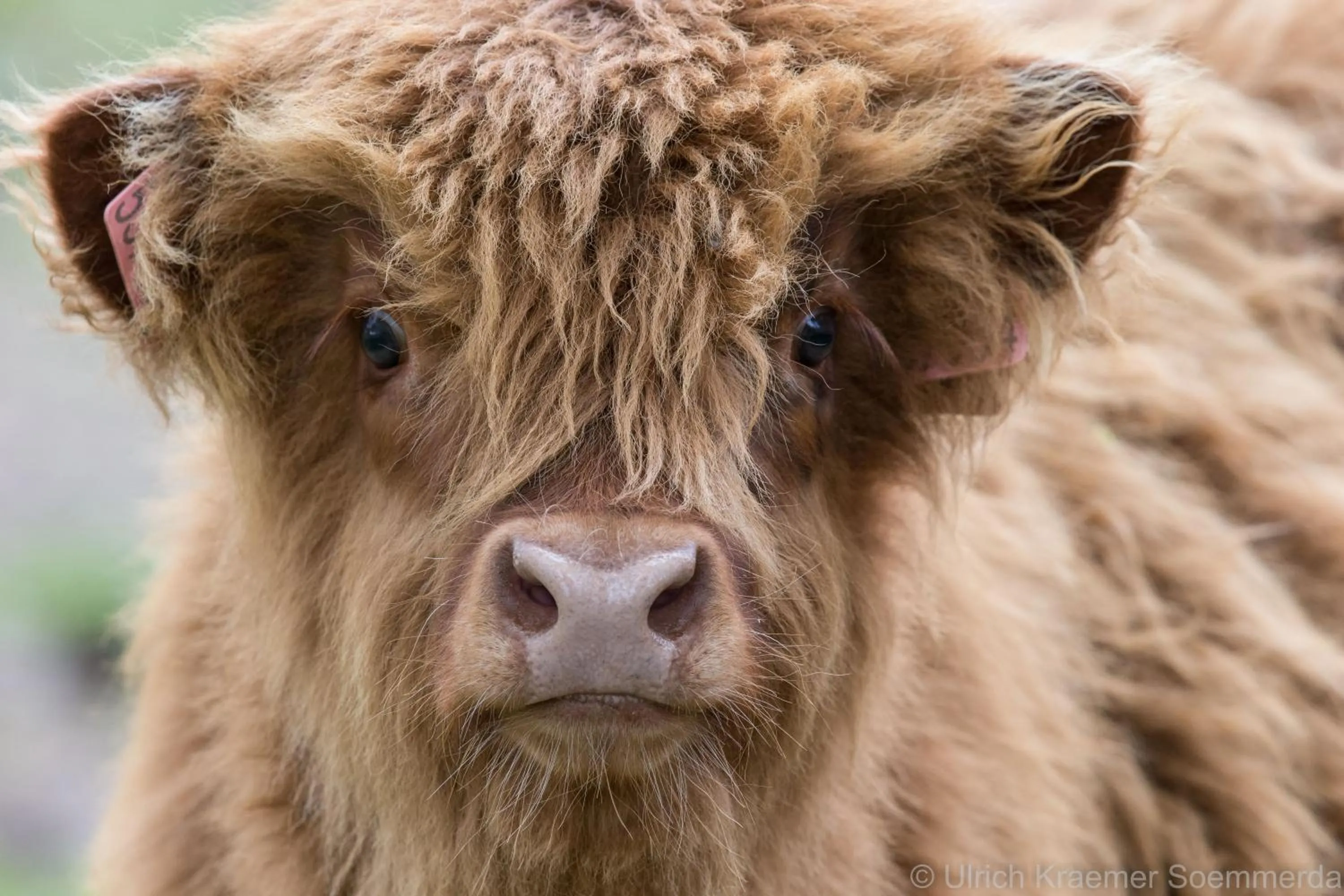 Off site in Hotel Resort Stein