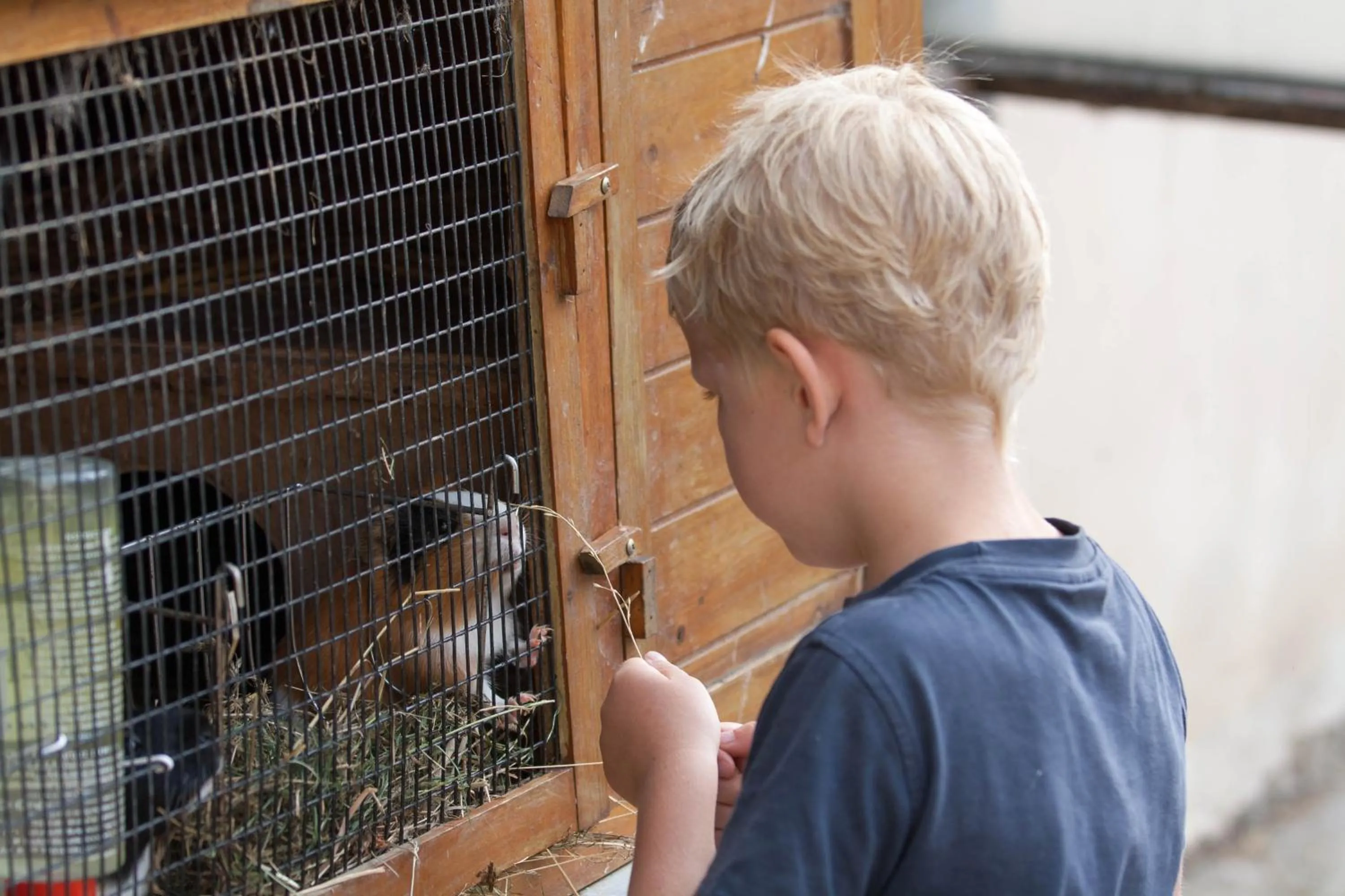 Kids's club in Hotel Resort Stein