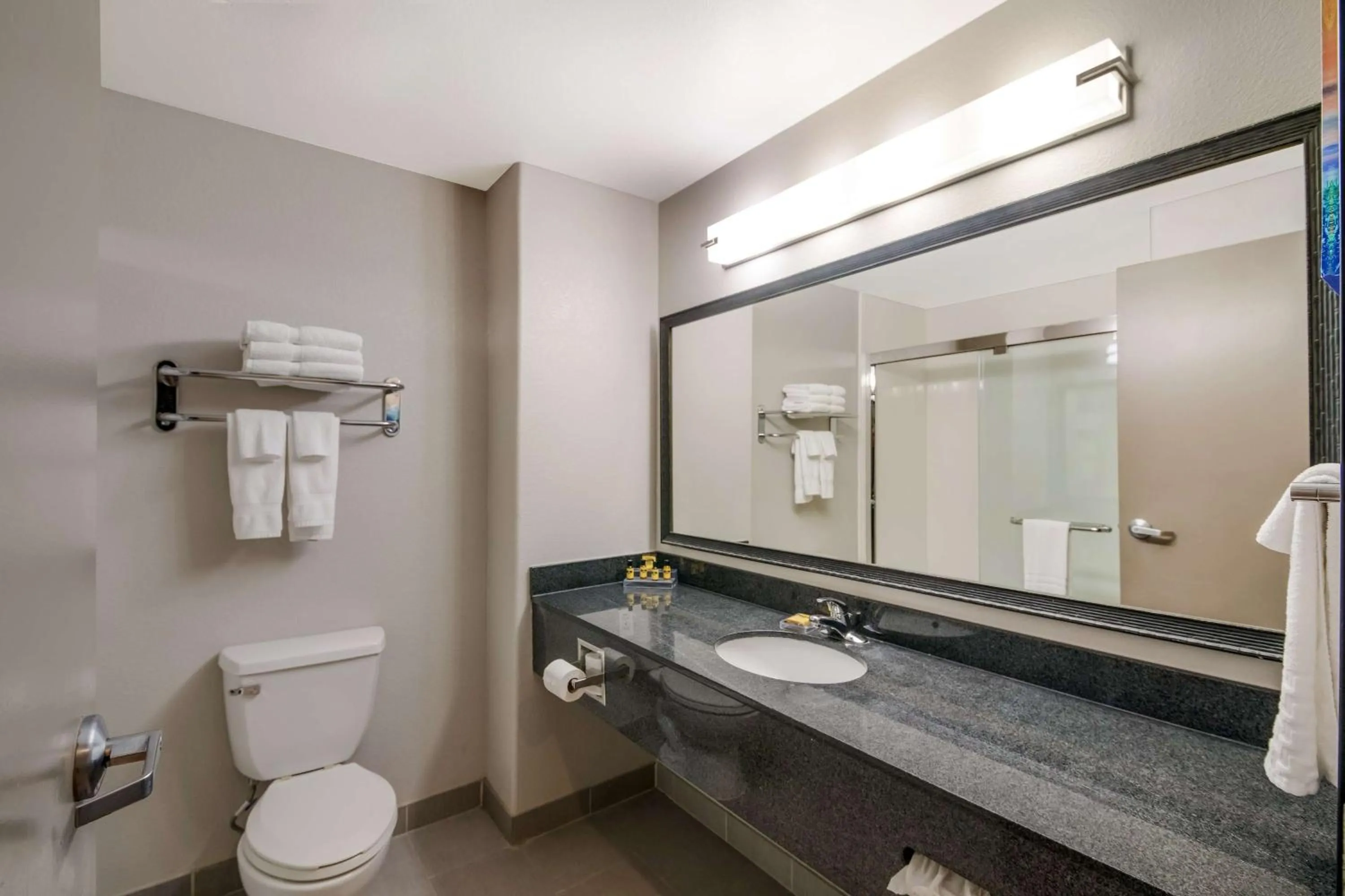 Bathroom in Best Western Plus Killeen - Fort Cavazos Hotel & Suites