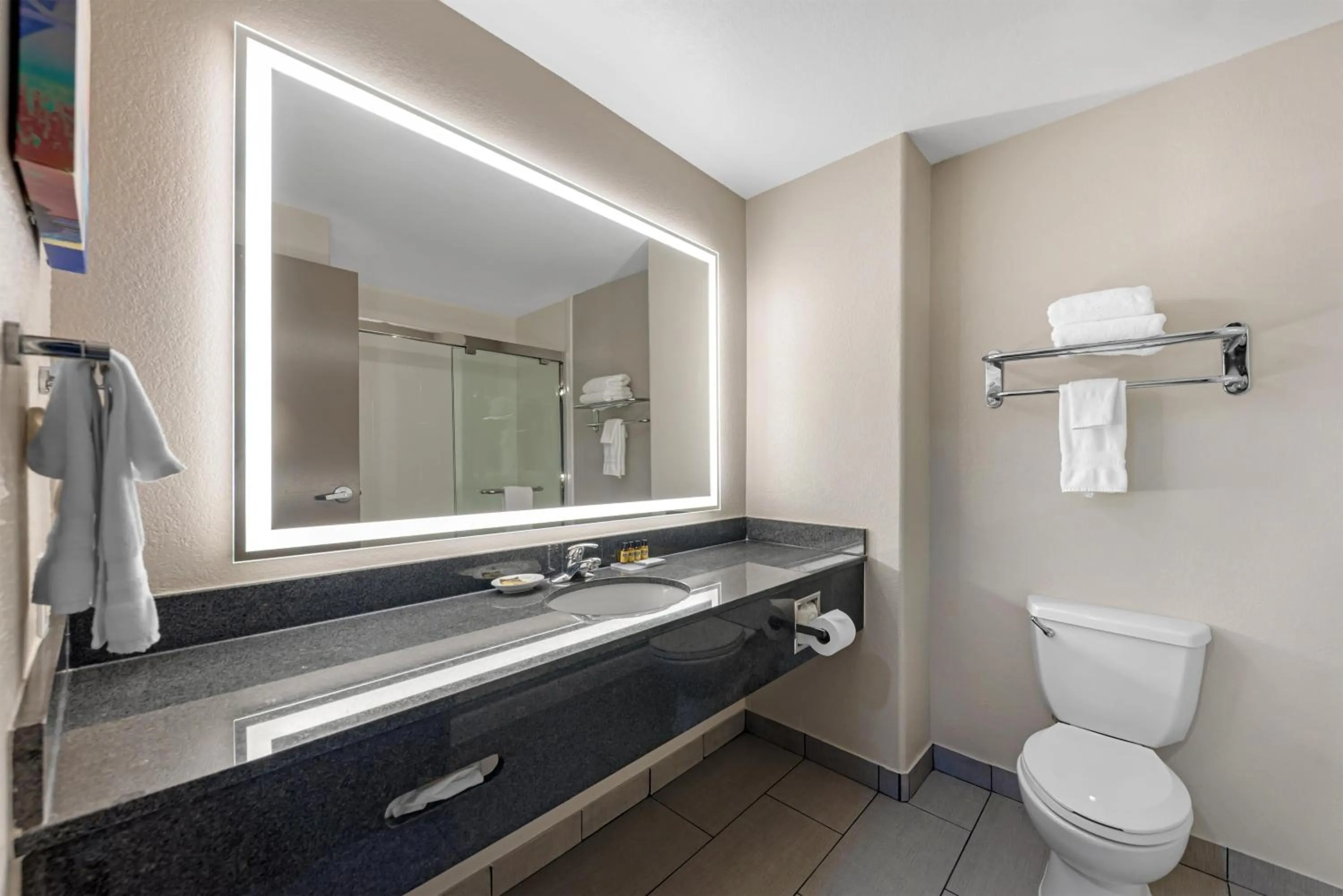 Bathroom in Best Western Plus Killeen - Fort Cavazos Hotel & Suites