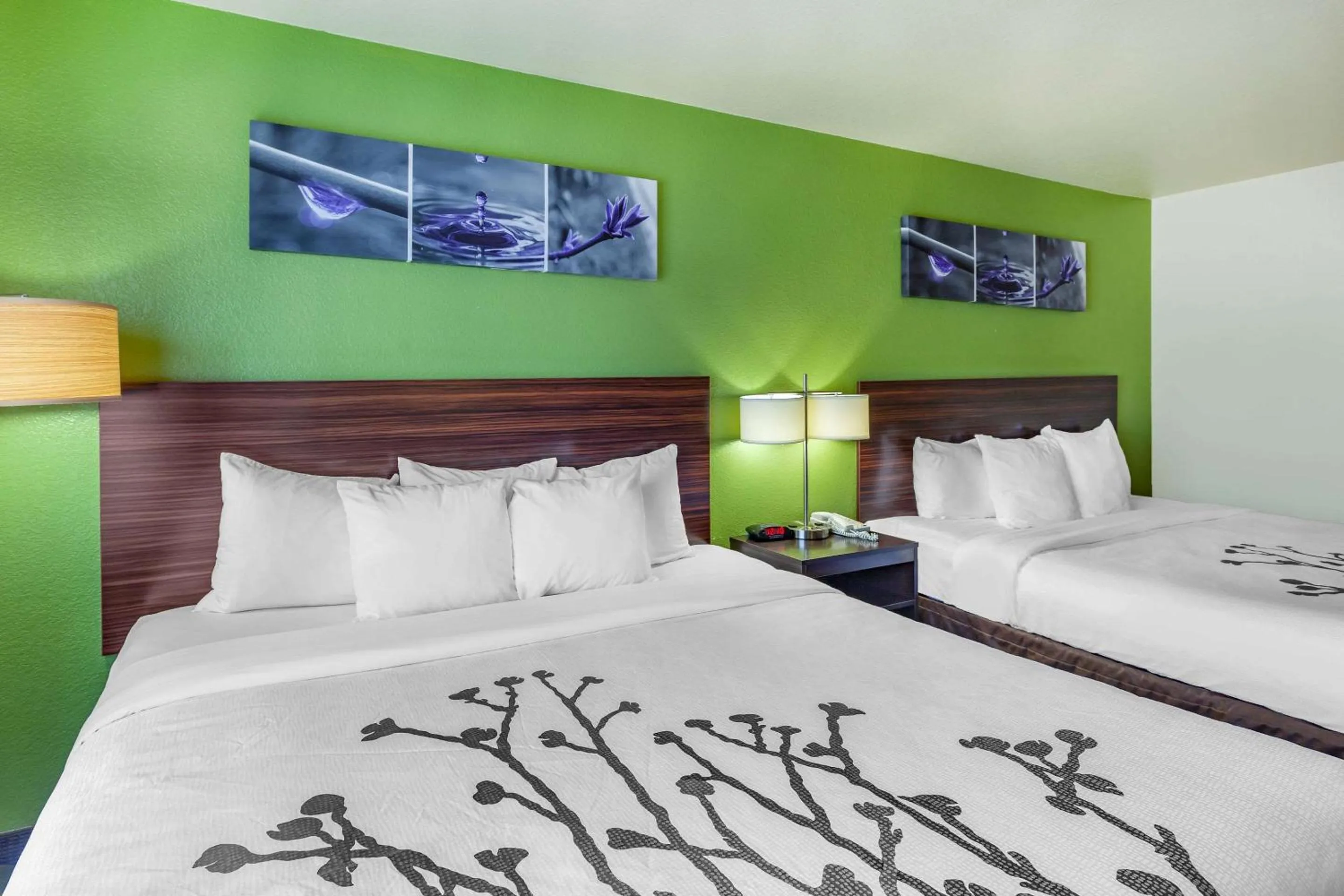 Photo of the whole room, Bed in Sleep Inn & Suites Hewitt - South Waco