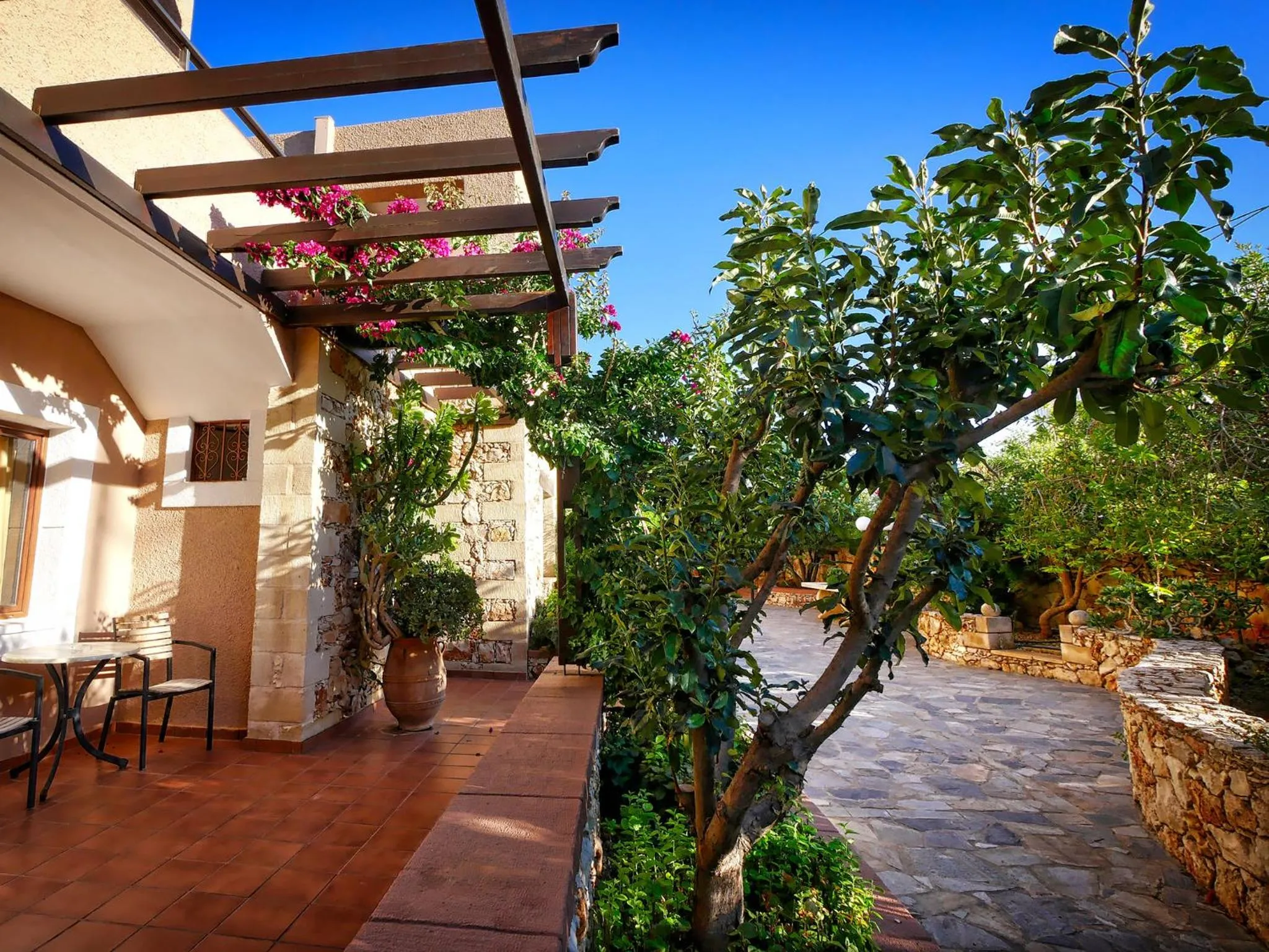 Garden in Areti Aparthotel