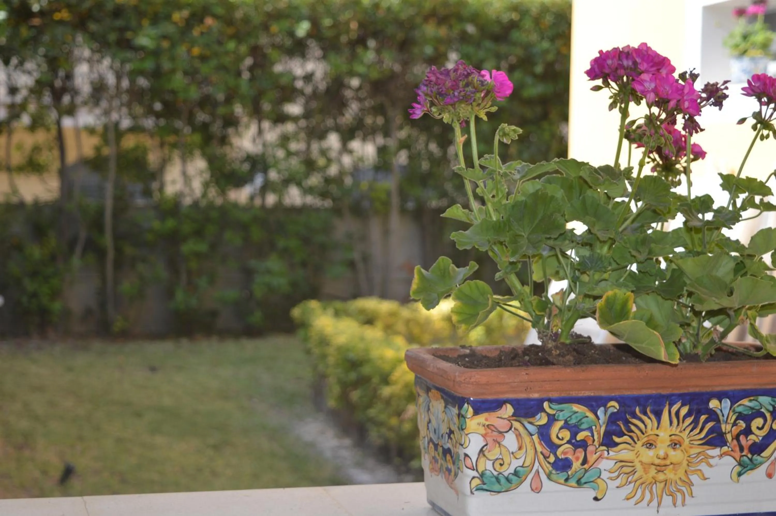 Garden in B&B L'alloro