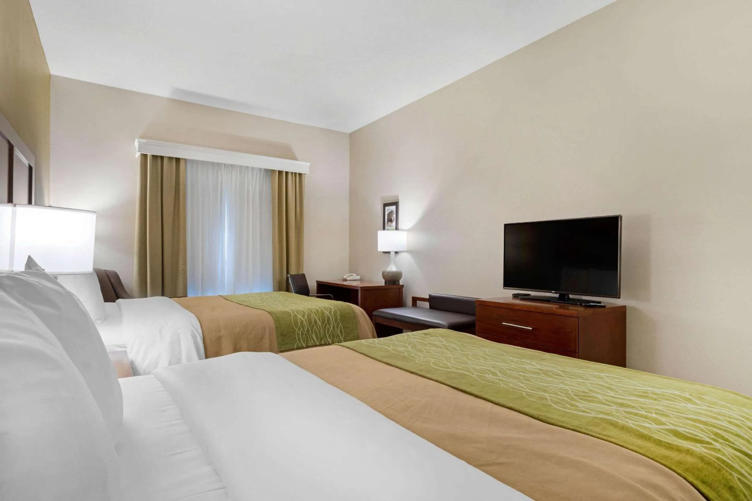 Photo of the whole room, Bed in Comfort Inn & Suites Port Arthur-Port Neches