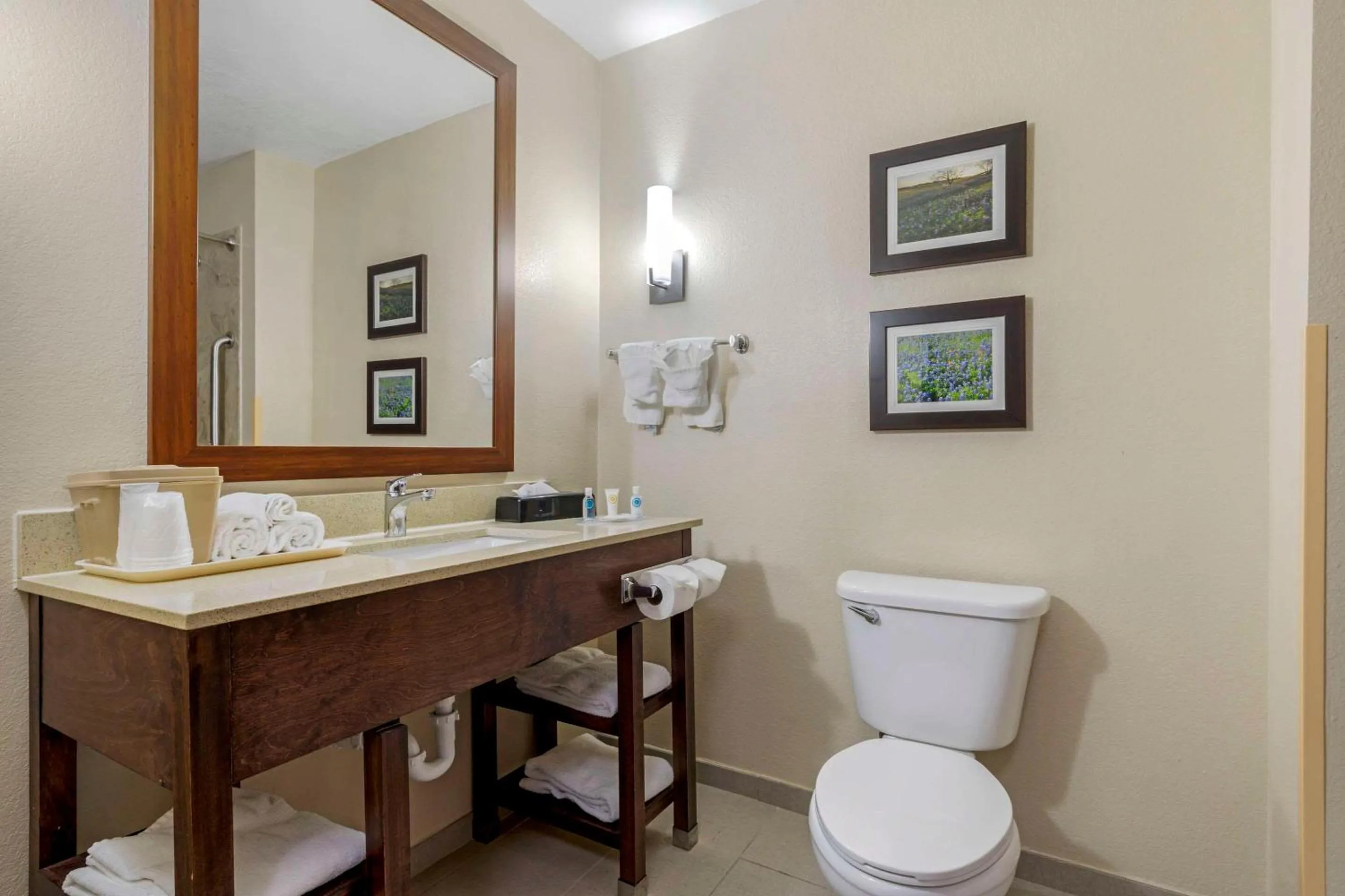 Bedroom in Comfort Suites Benbrook - Fort Worth Southwest