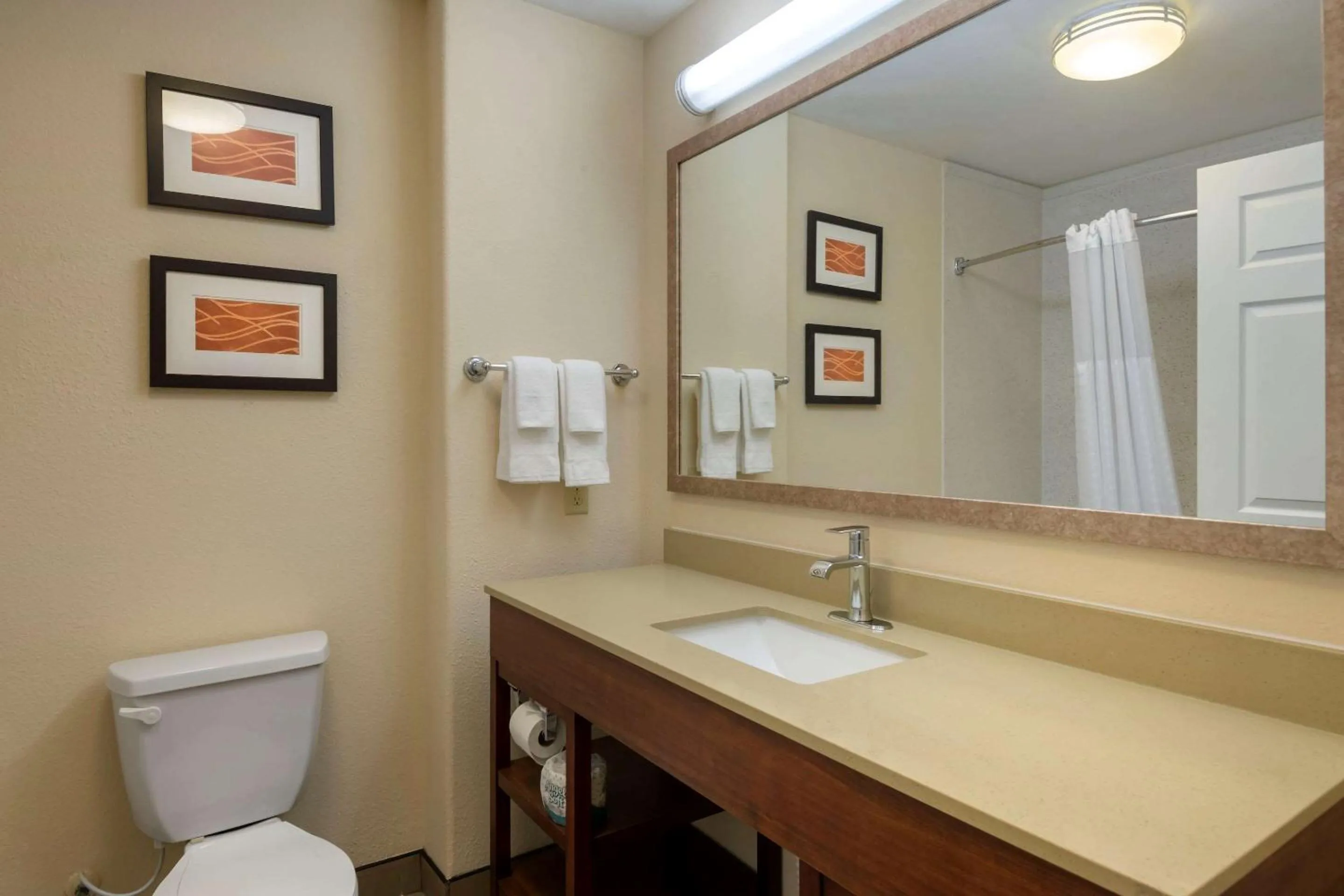 Toilet in Comfort Inn & Suites, Odessa I-20