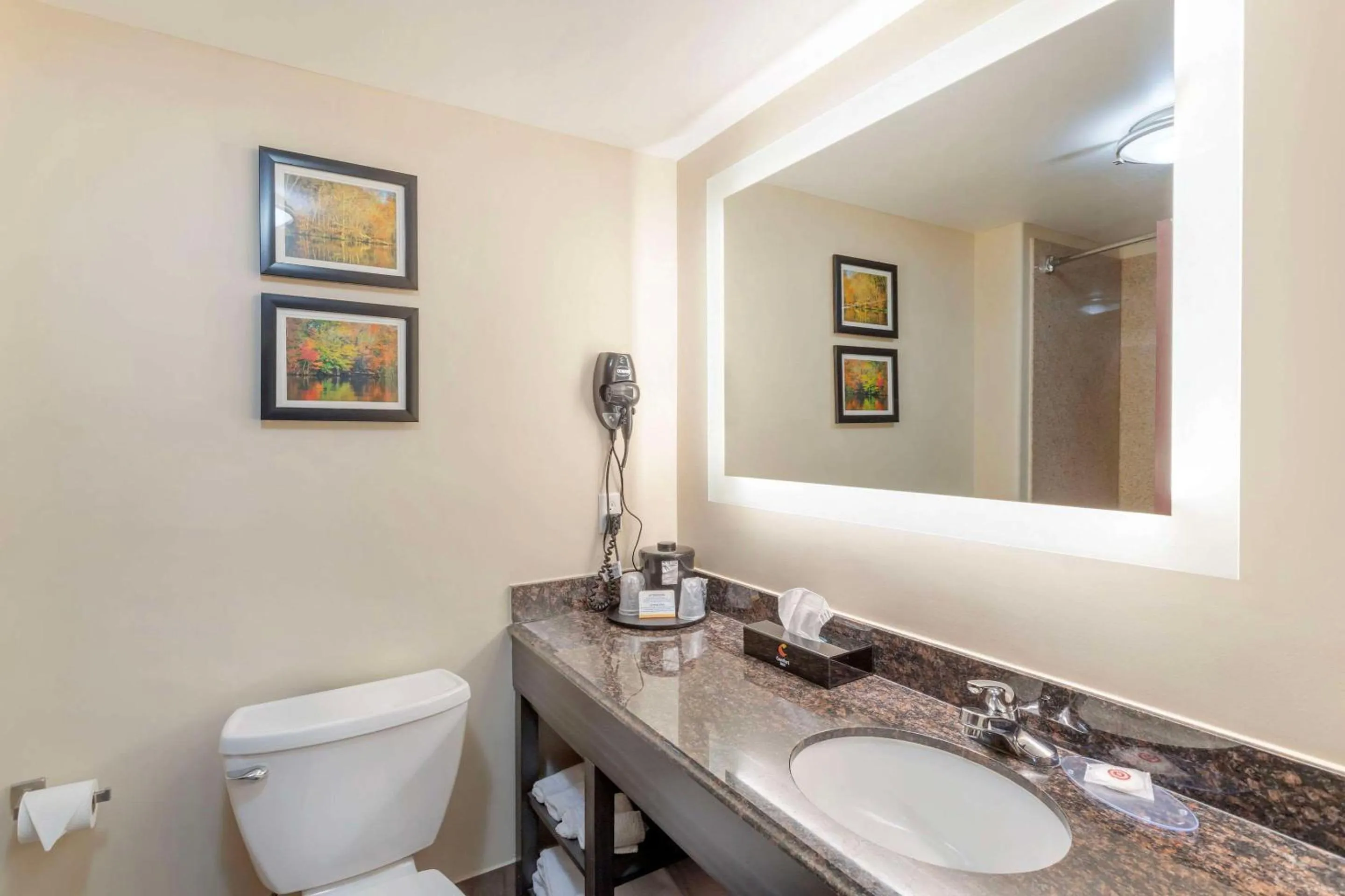 Bedroom in Comfort Inn by Choice Hotels Orange, TX