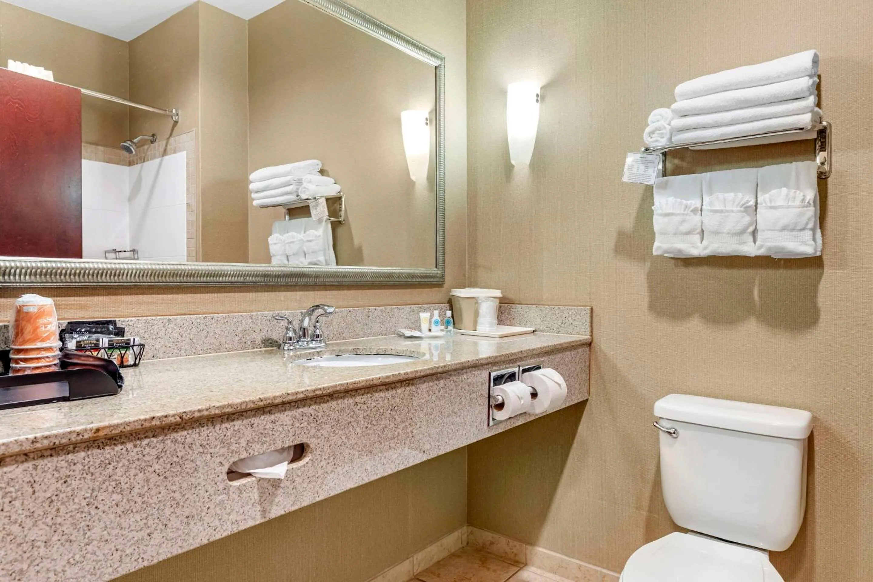 Bedroom in Comfort Suites Palestine