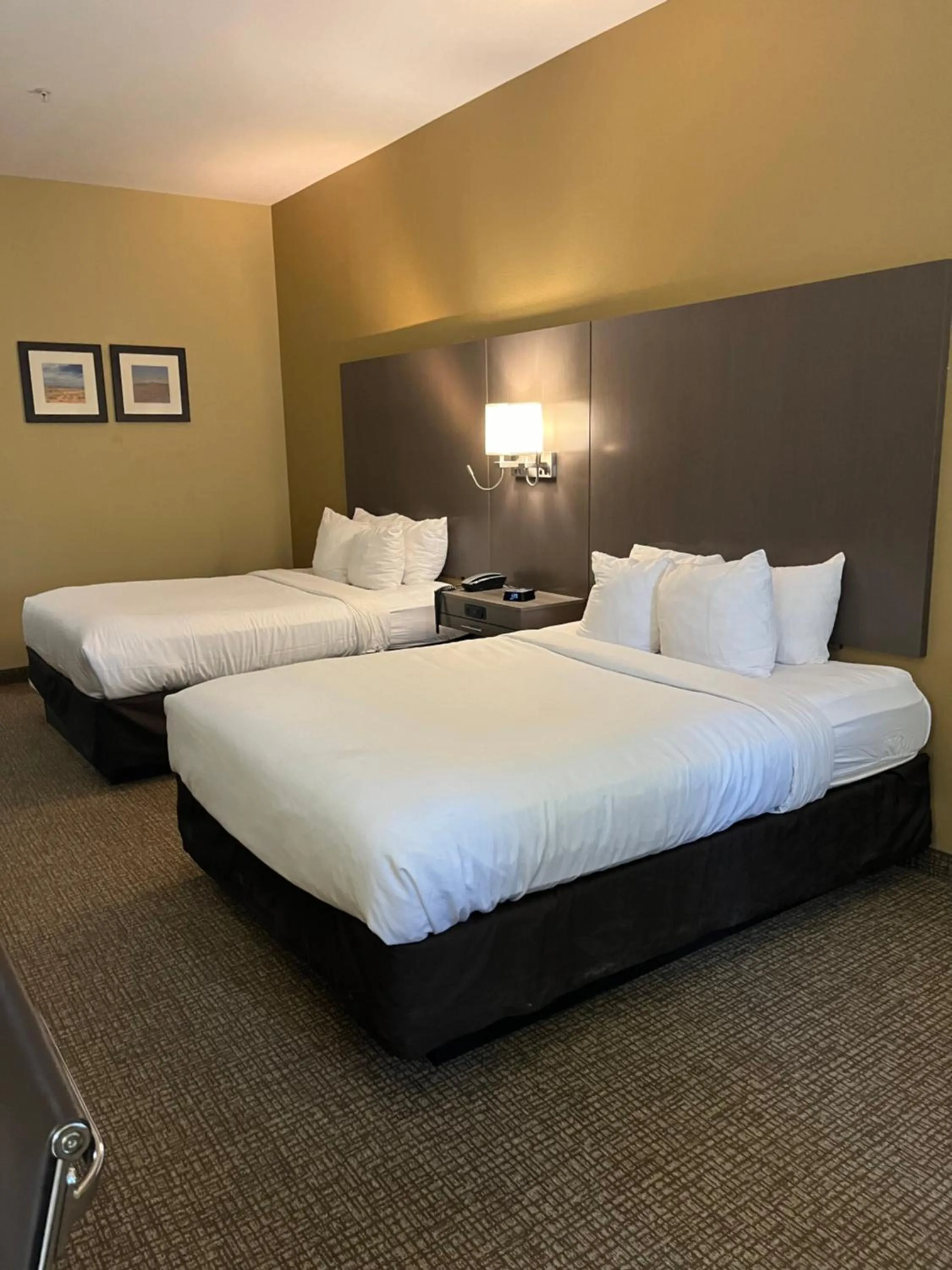 Bedroom, Bed in Comfort Inn & Suites Monahans I-20