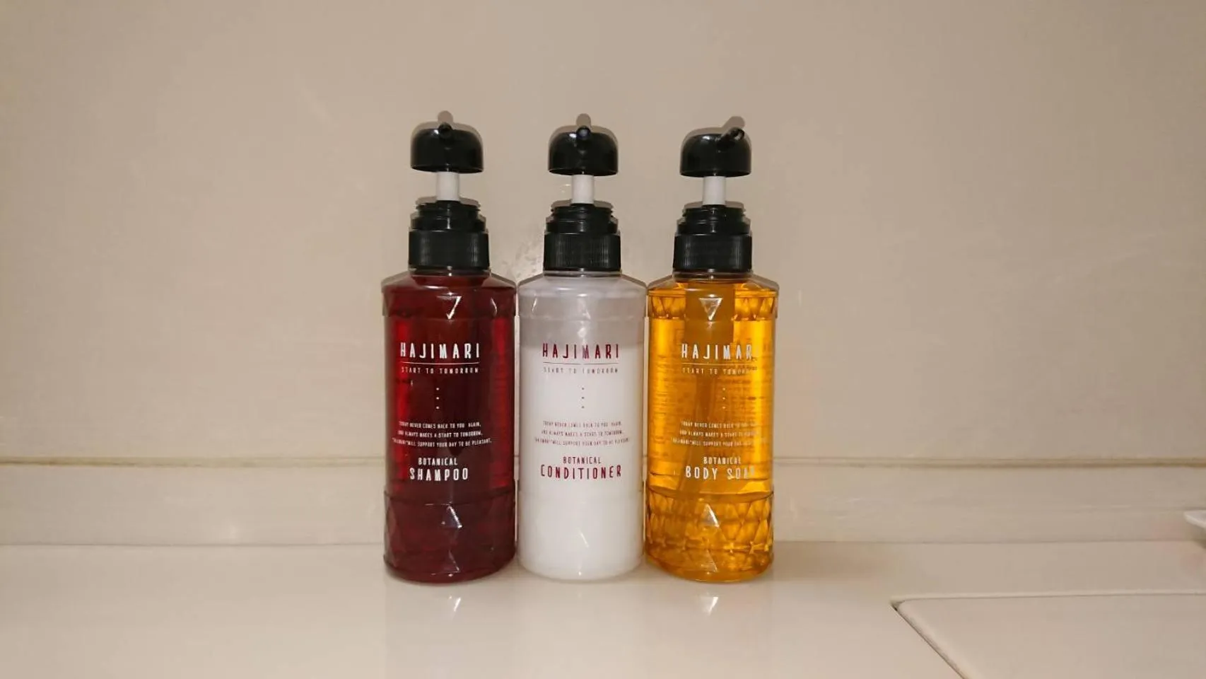 Photo of the whole room in Hotel New Century Sakaide