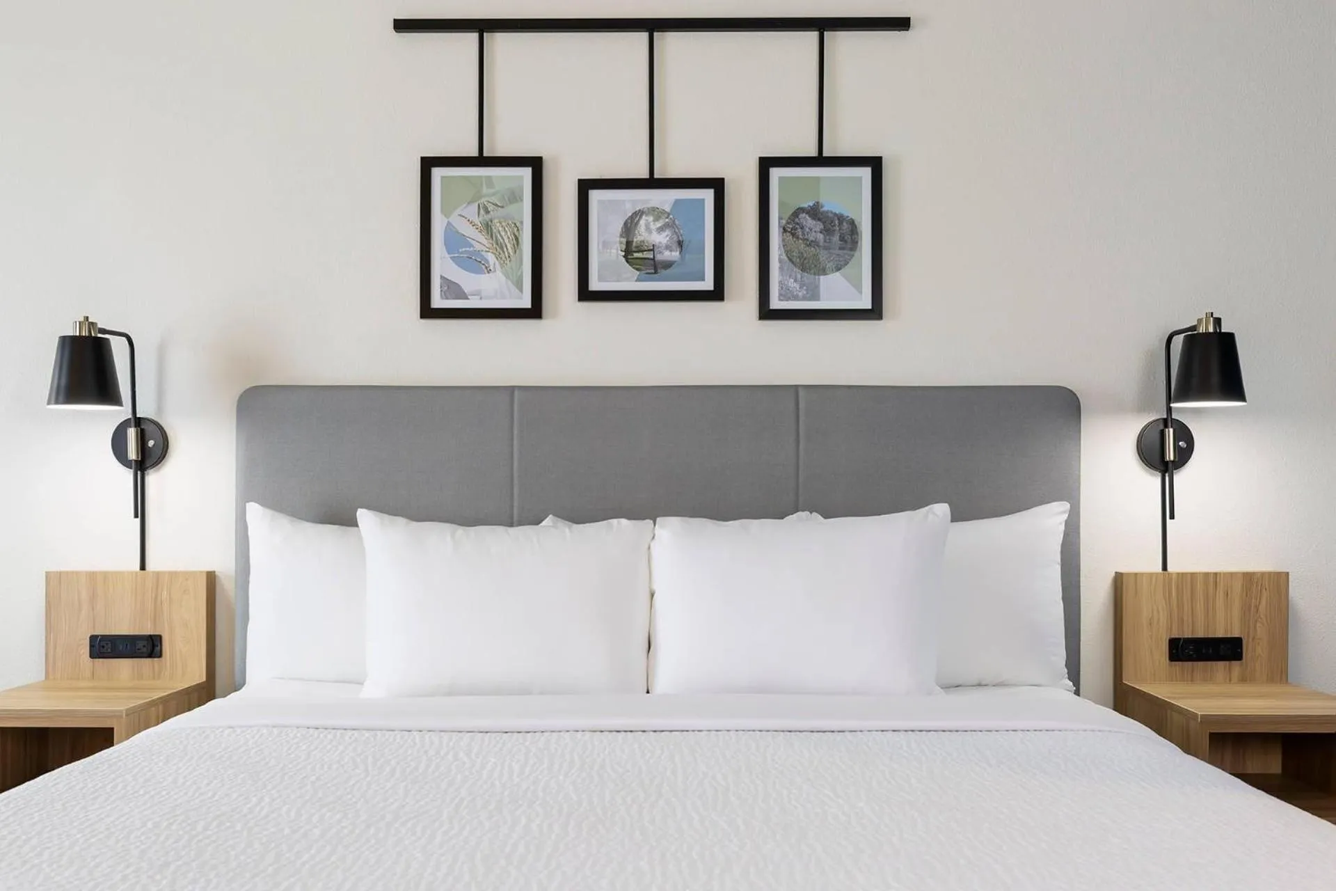 Bedroom, Bed in Sleep Inn & Suites Round Rock - Austin North